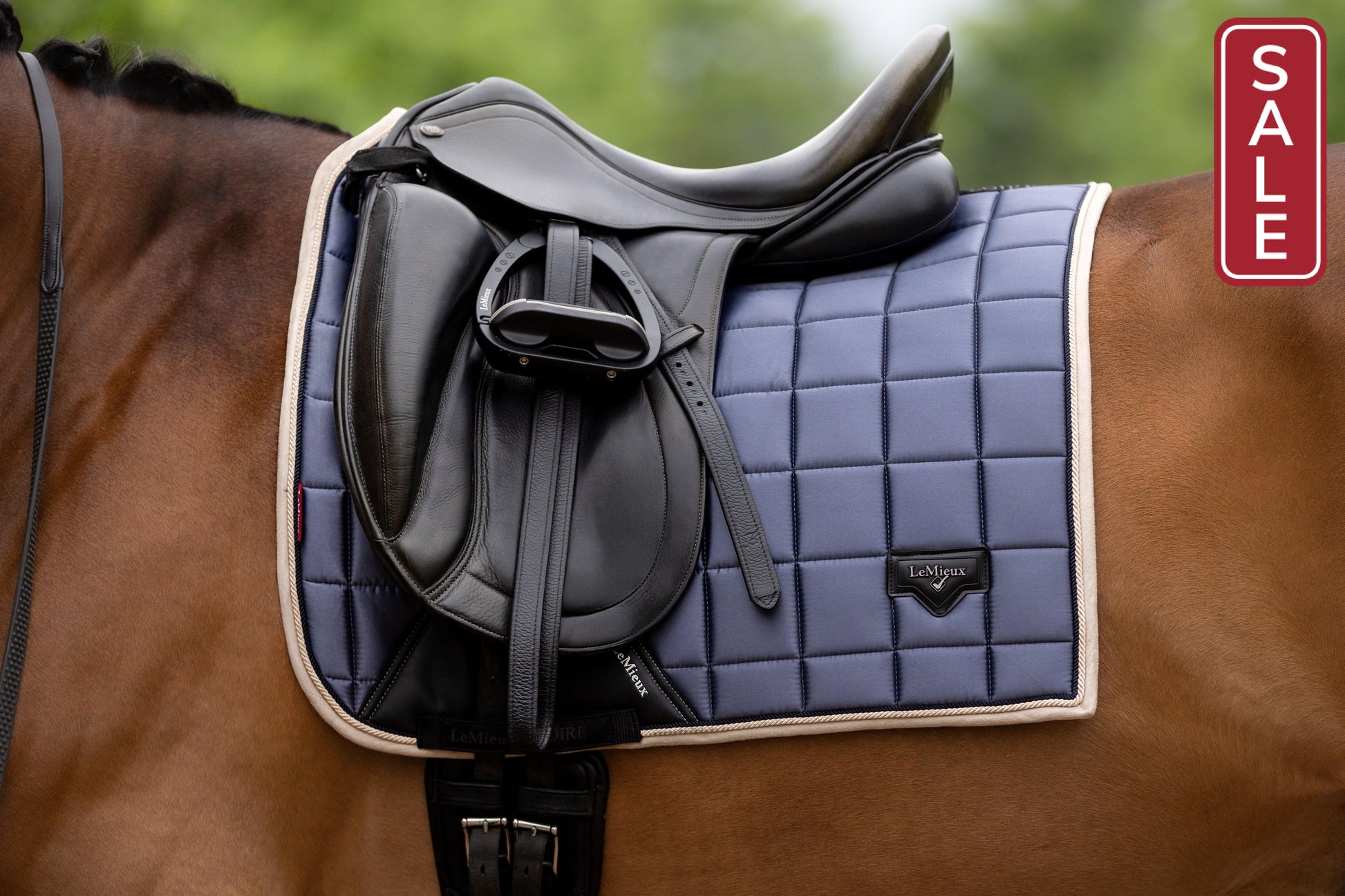 LeMieux | Tapis de dressage Loire Memory Satin – Marine – 1000 Sabots