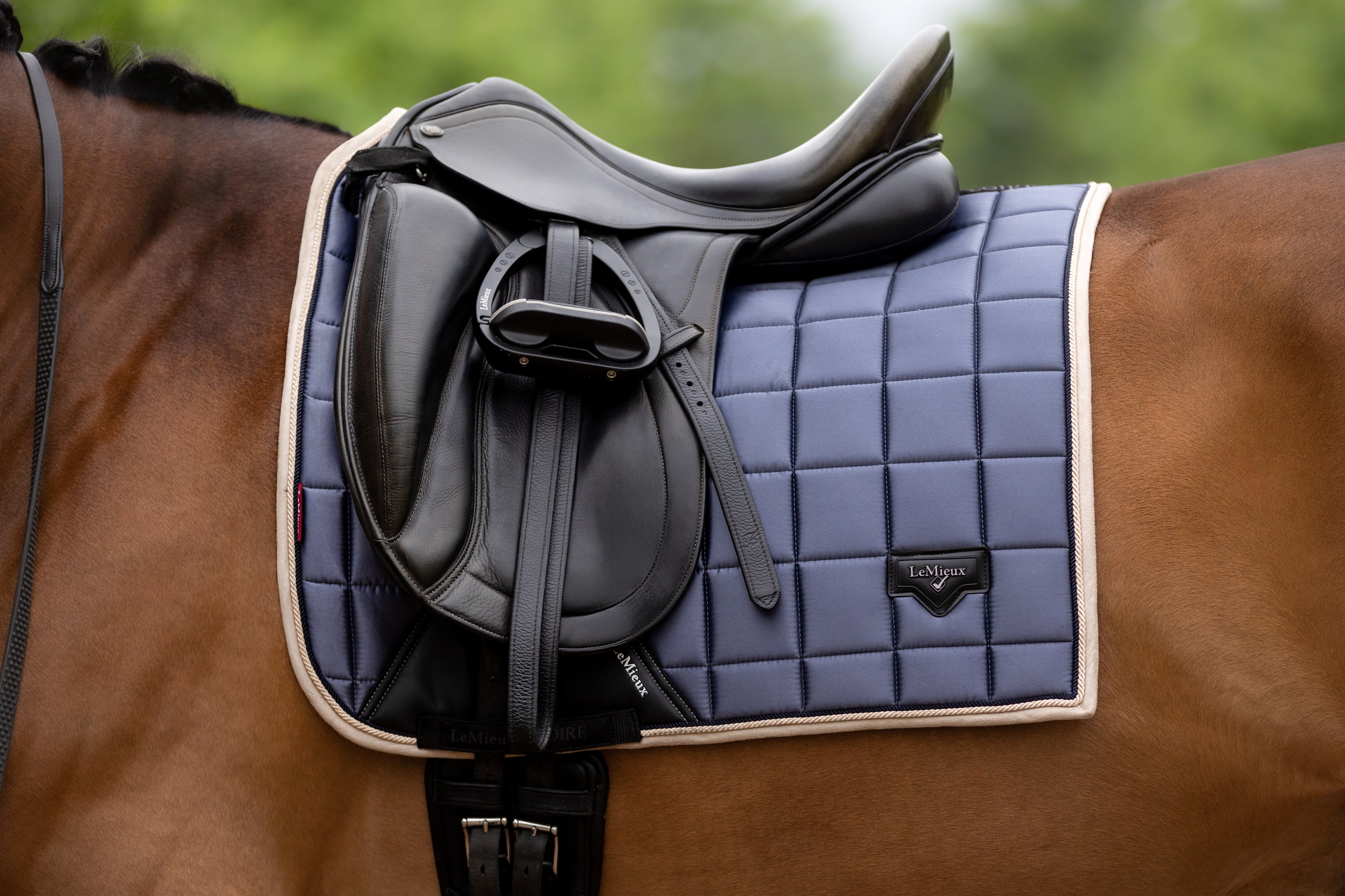 LeMieux Loire Classic Jay Blue Dressage Saddle Pad-English Saddle Pads-LeMieux-Evolution Equestrian Co.