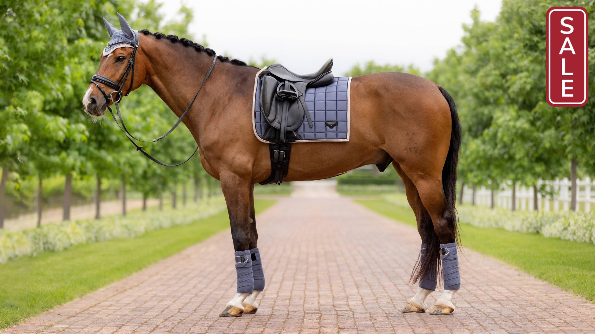 LeMieux Loire Classic Jay Blue Dressage Saddle Pad-English Saddle Pads-LeMieux-Evolution Equestrian Co.
