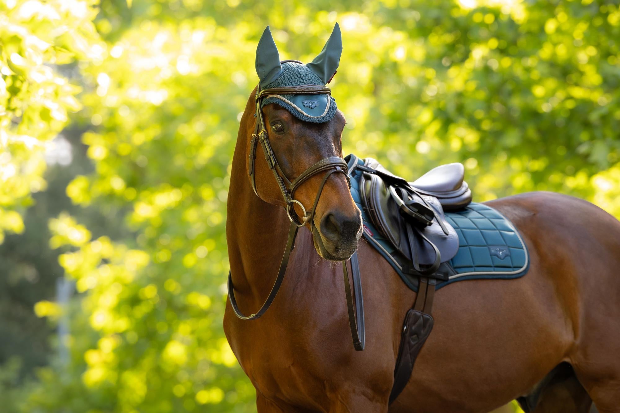 LeMieux Loire Close Contact Saddle Pad Jungle-English Saddle Pad-LeMieux-Small/Medium-Evolution Equestrian Co.