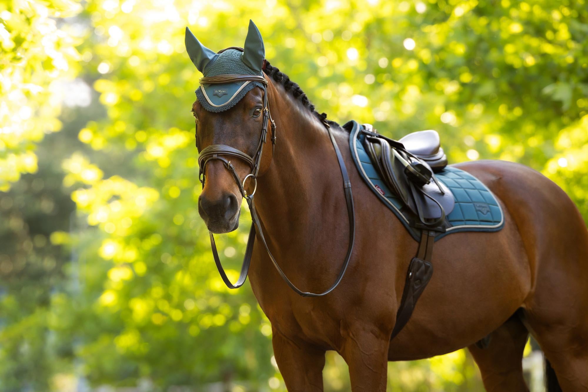 LeMieux Loire Close Contact Saddle Pad Jungle-English Saddle Pad-LeMieux-Small/Medium-Evolution Equestrian Co.