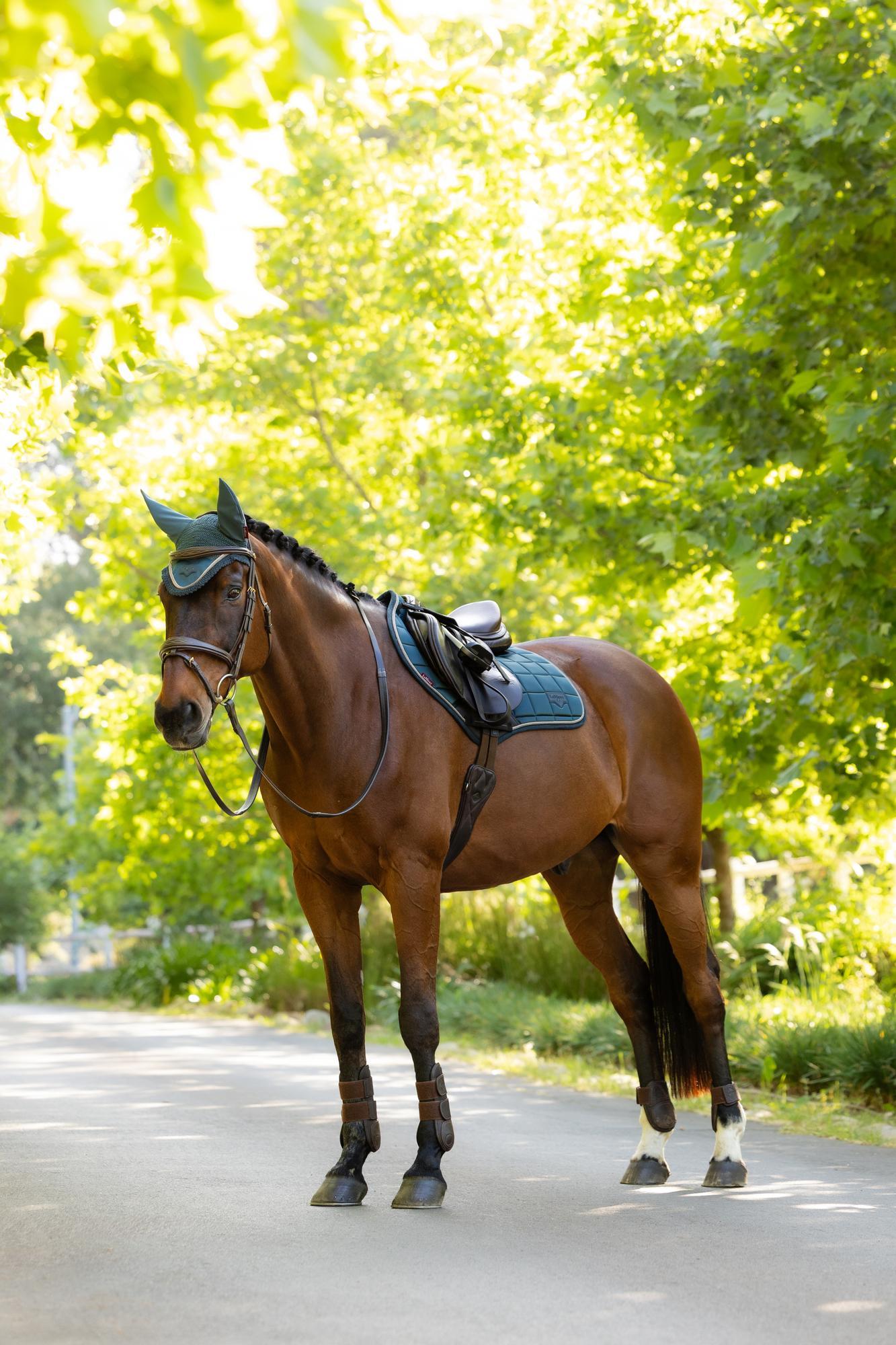 LeMieux Loire Close Contact Saddle Pad Jungle-English Saddle Pad-LeMieux-Small/Medium-Evolution Equestrian Co.
