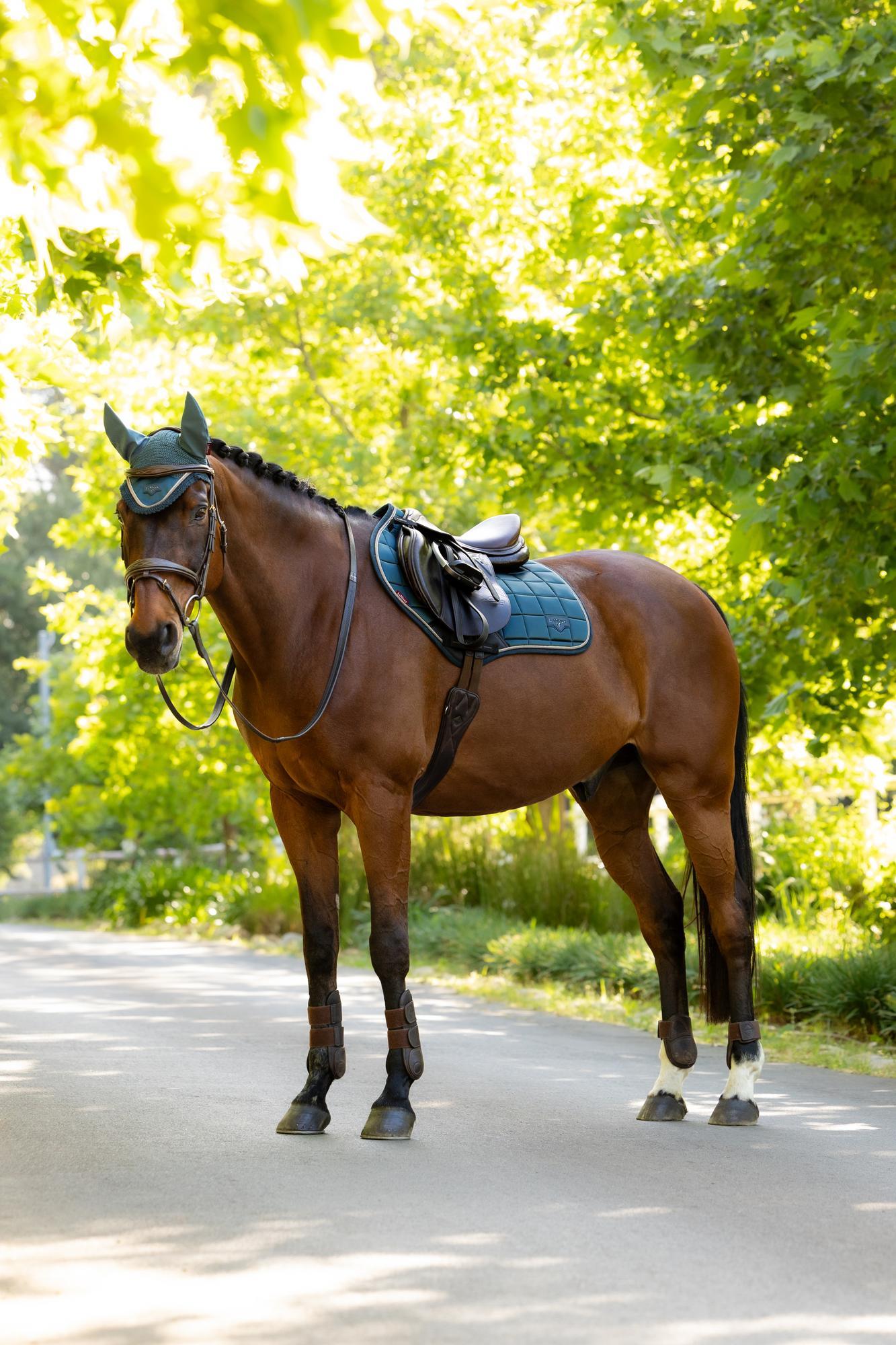 LeMieux Loire Close Contact Saddle Pad Jungle-English Saddle Pad-LeMieux-Small/Medium-Evolution Equestrian Co.