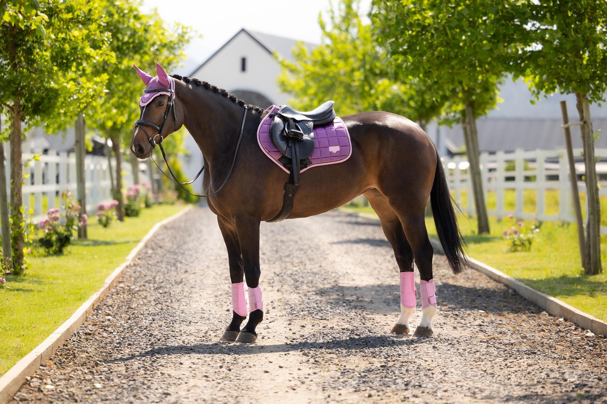 LeMieux Loire Close Contact Saddle Pad Mallow-English Saddle Pad-LeMieux-Small/Medium-Evolution Equestrian Co.