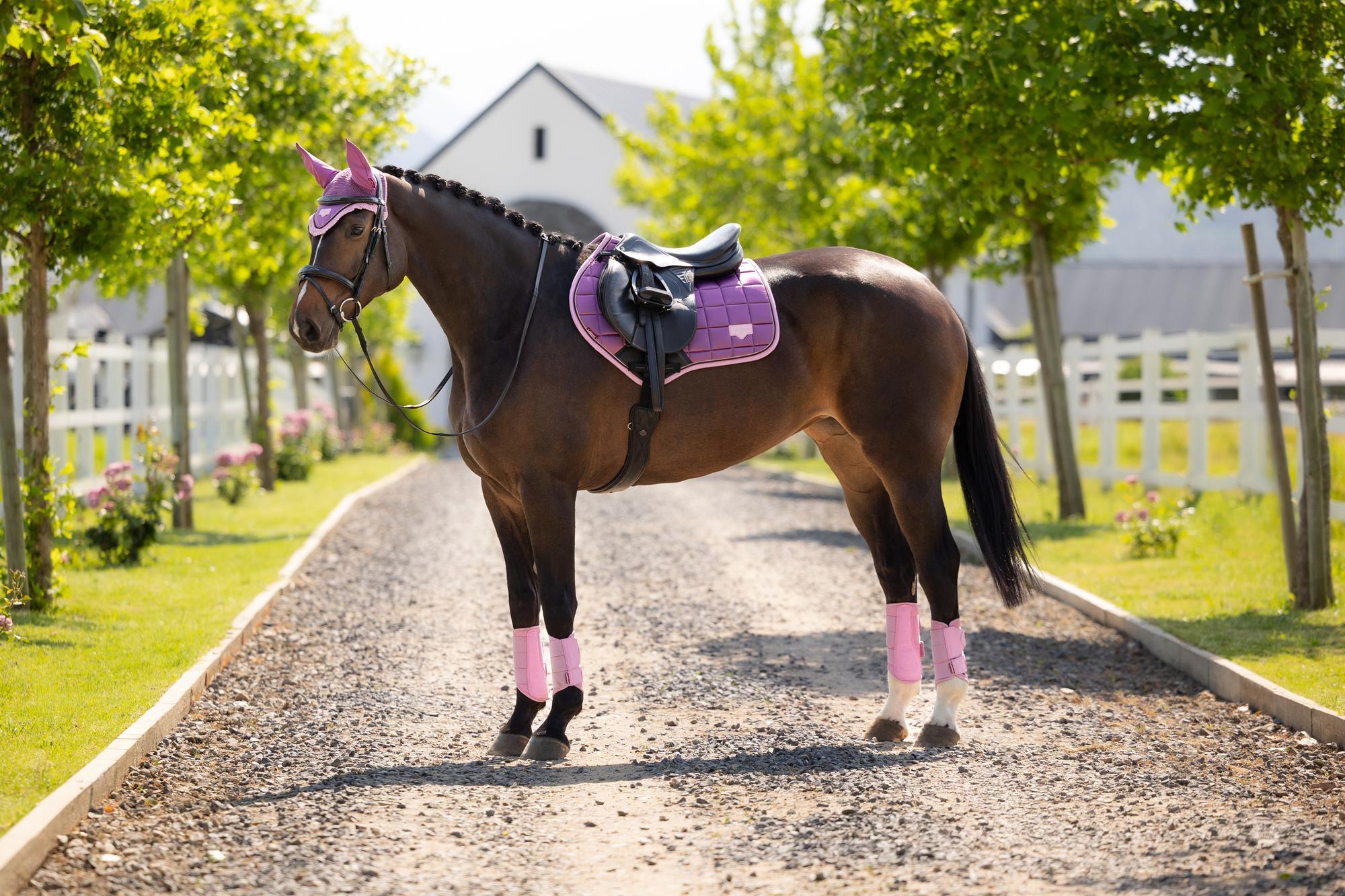 LeMieux Loire Close Contact Saddle Pad Mallow-English Saddle Pad-LeMieux-Small/Medium-Evolution Equestrian Co.