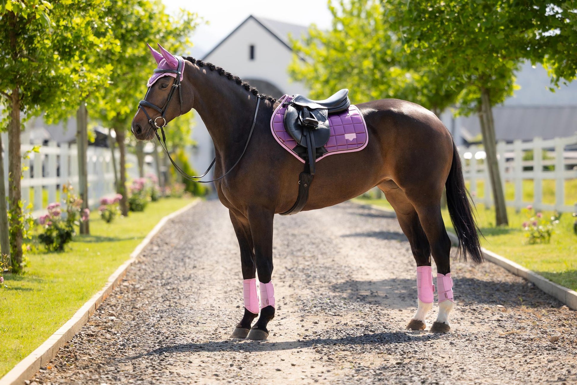 LeMieux Loire Close Contact Saddle Pad Mallow-English Saddle Pad-LeMieux-Small/Medium-Evolution Equestrian Co.