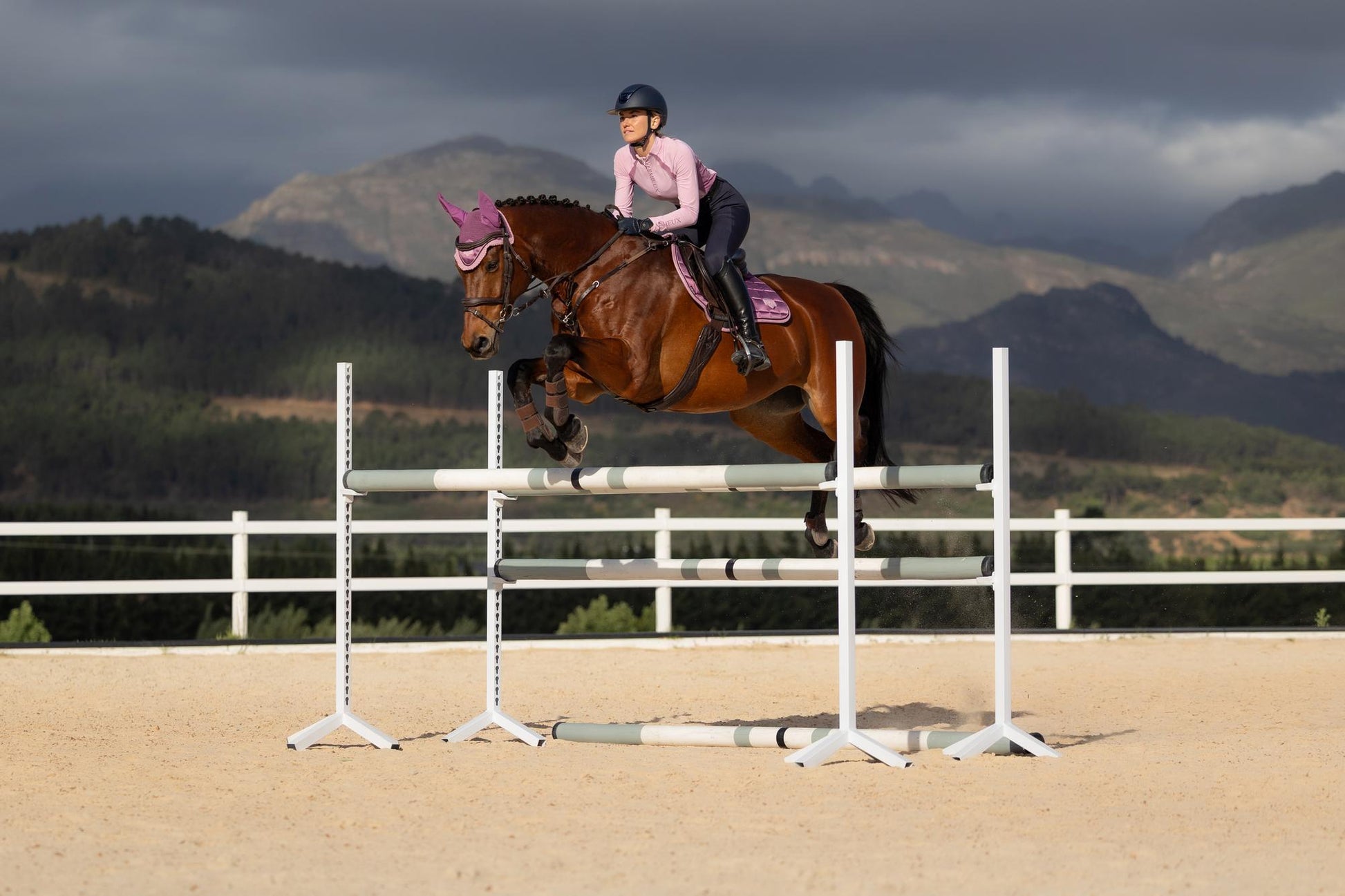 LeMieux Loire Close Contact Saddle Pad Mallow-English Saddle Pad-LeMieux-Small/Medium-Evolution Equestrian Co.