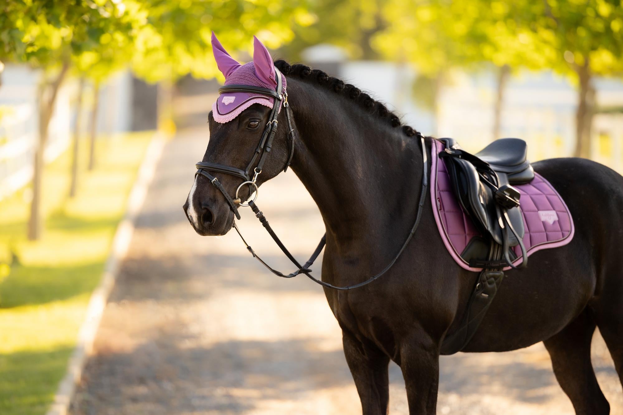 LeMieux Loire Close Contact Saddle Pad Mallow-English Saddle Pad-LeMieux-Small/Medium-Evolution Equestrian Co.