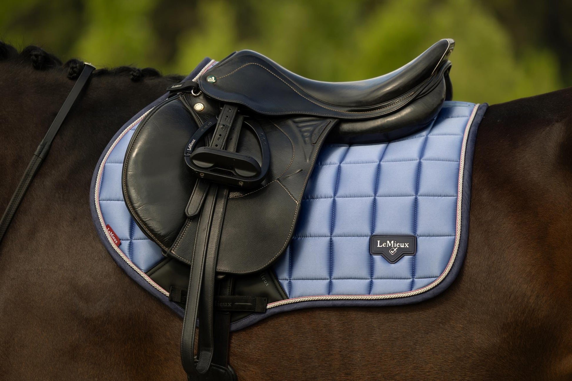 LeMieux Loire Close Contact Saddle Pad Powder Blue-English Saddle Pad-LeMieux-Small/Medium-Evolution Equestrian Co.