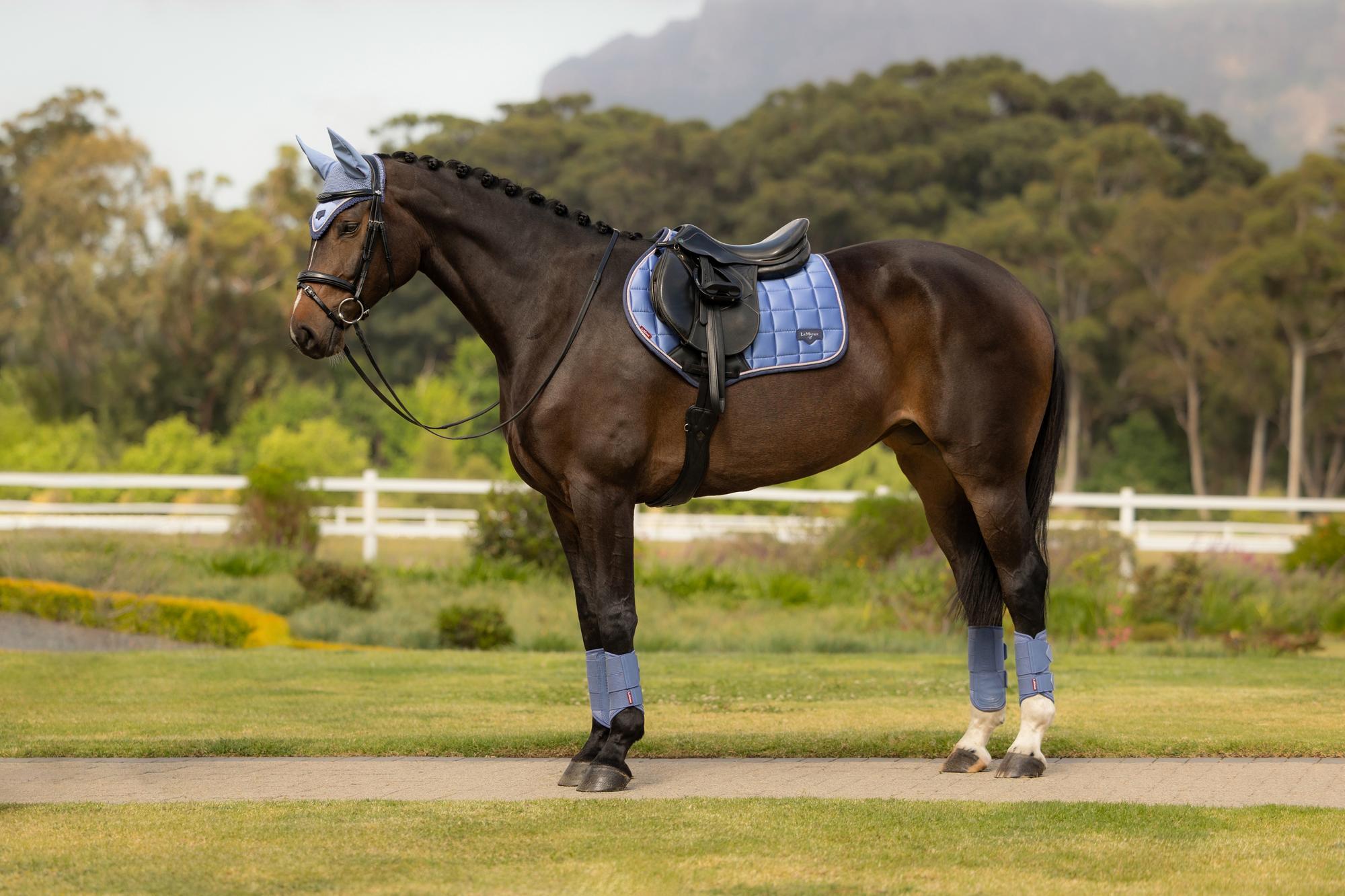 LeMieux Loire Close Contact Saddle Pad Powder Blue-English Saddle Pad-LeMieux-Small/Medium-Evolution Equestrian Co.