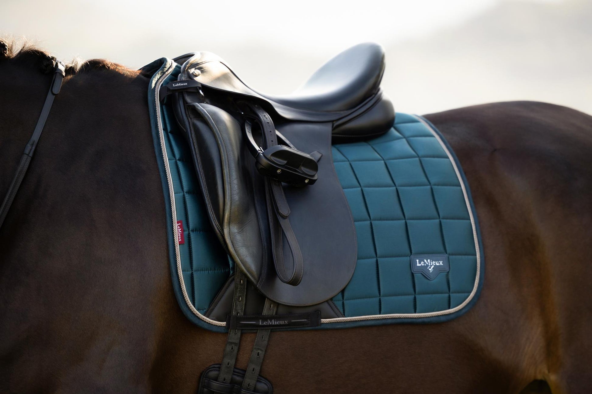 LeMieux Loire Dressage Saddle Pad Jungle-English Saddle Pad-LeMieux-Small/Medium-Evolution Equestrian Co.