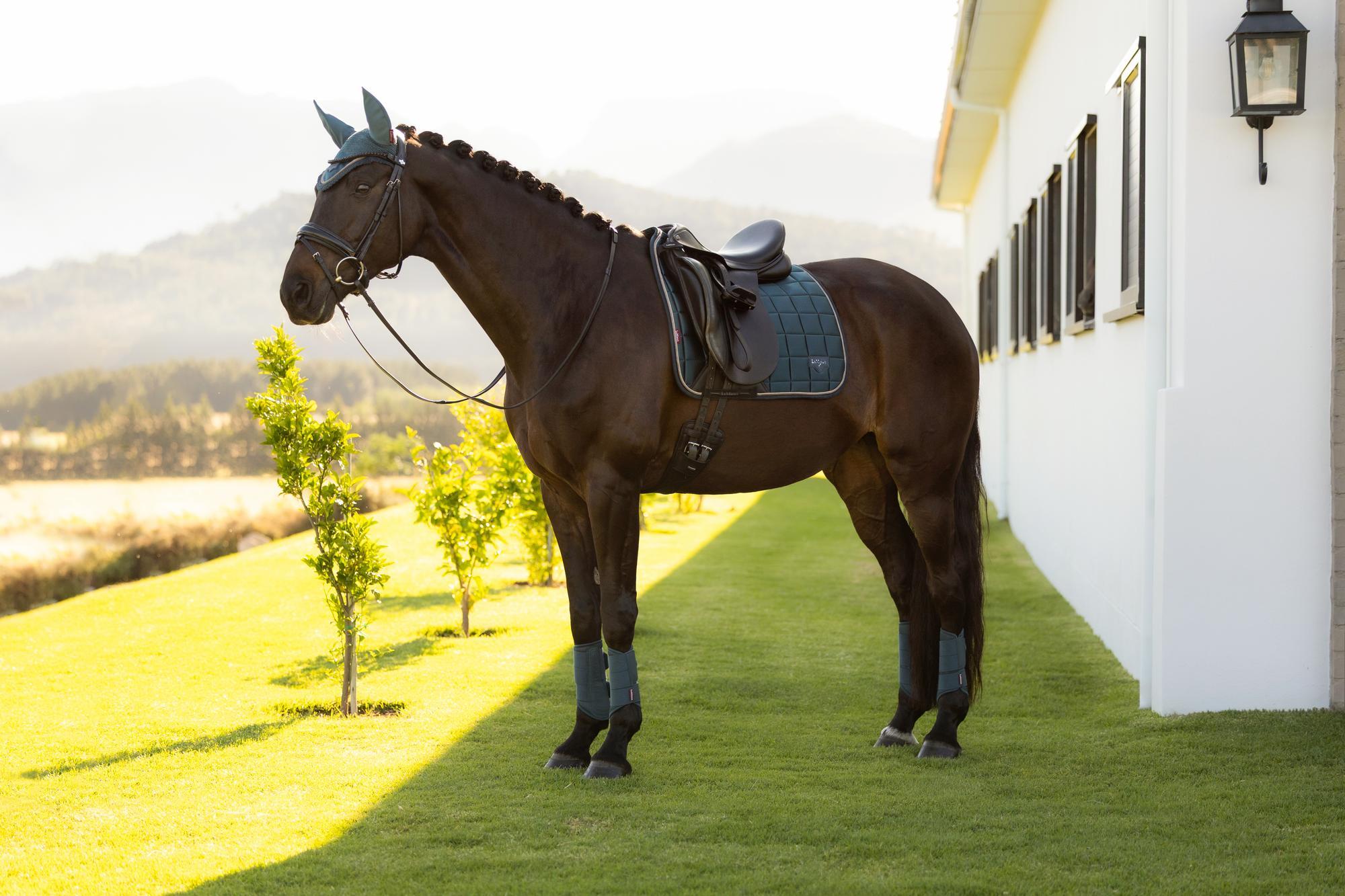 LeMieux Loire Dressage Saddle Pad Jungle-English Saddle Pad-LeMieux-Small/Medium-Evolution Equestrian Co.