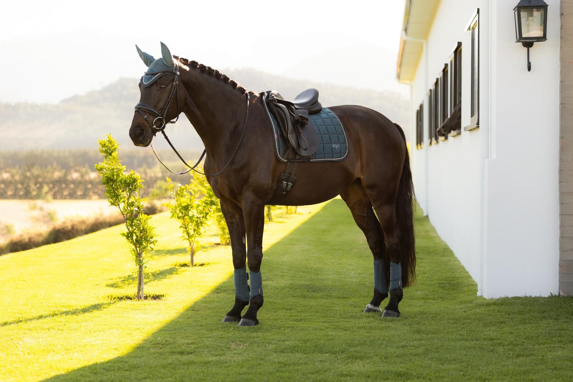 LeMieux Loire Dressage Saddle Pad Jungle-English Saddle Pad-LeMieux-Small/Medium-Evolution Equestrian Co.