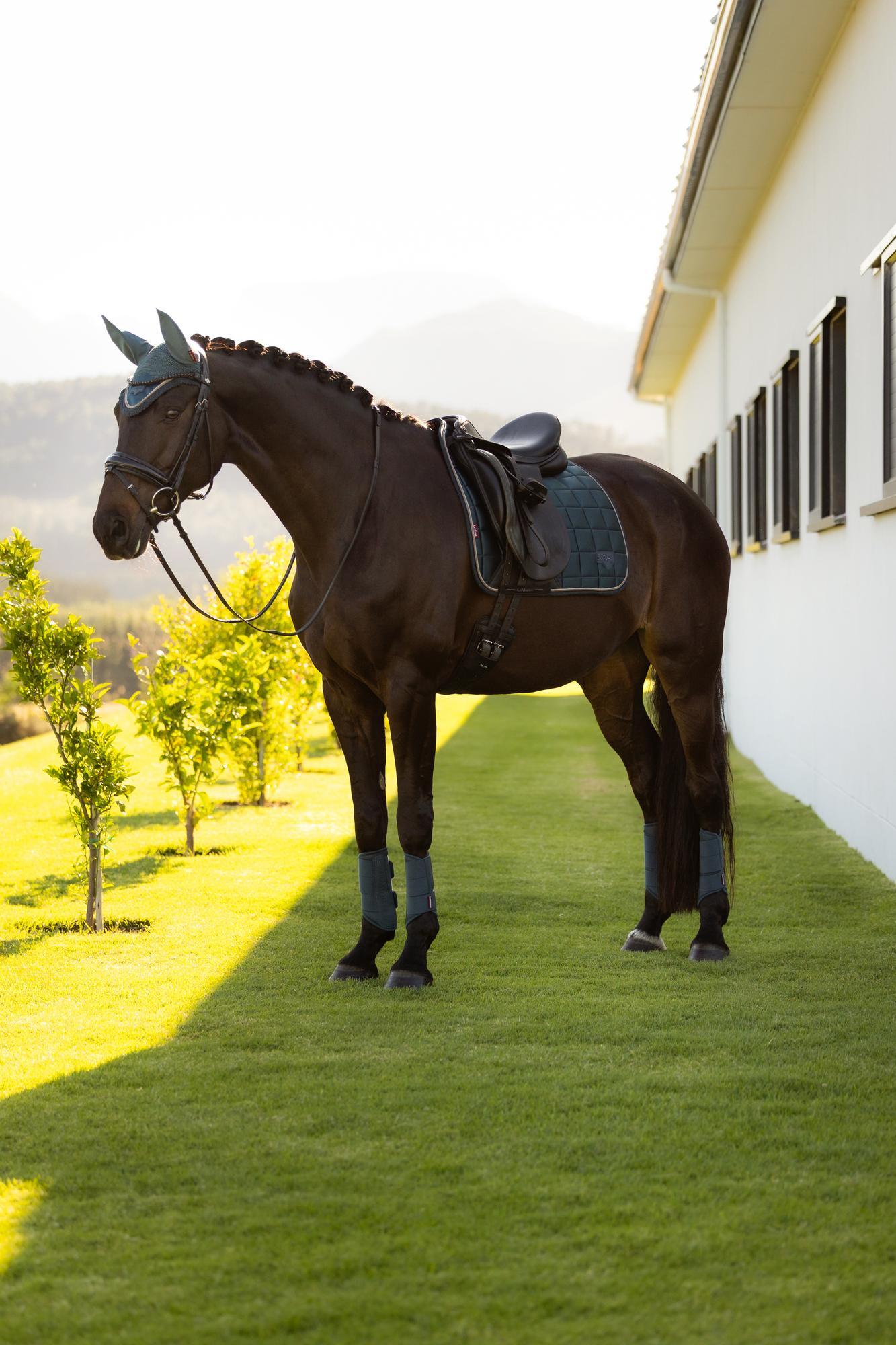 LeMieux Loire Dressage Saddle Pad Jungle-English Saddle Pad-LeMieux-Small/Medium-Evolution Equestrian Co.