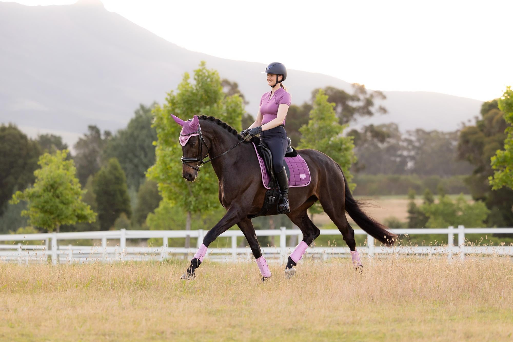 LeMieux Loire Dressage Saddle Pad Mallow-English Saddle Pad-LeMieux-Small/Medium-Evolution Equestrian Co.