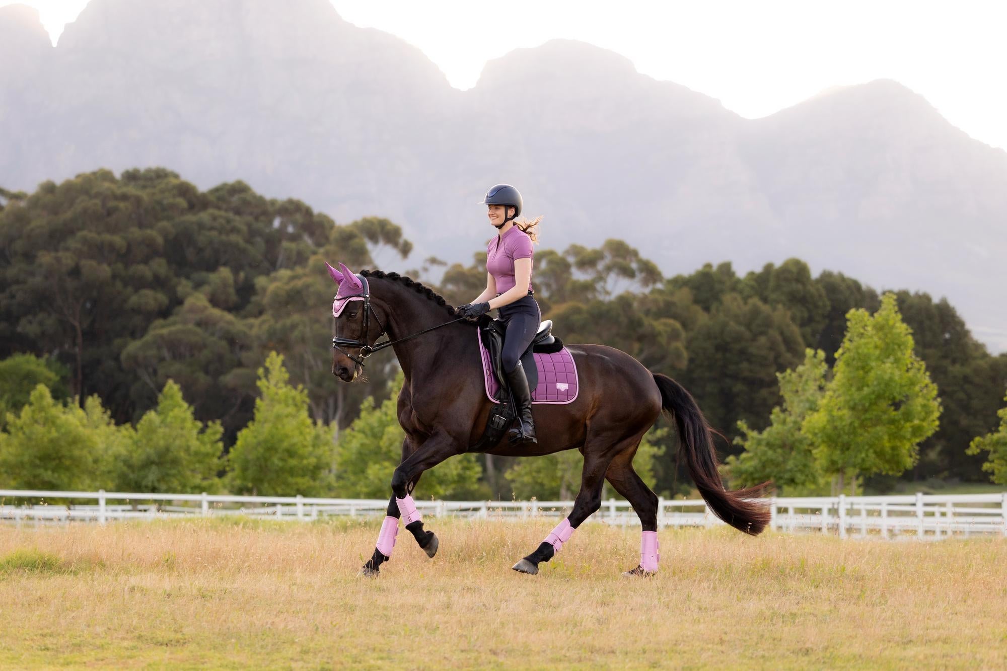 LeMieux Loire Dressage Saddle Pad Mallow-English Saddle Pad-LeMieux-Small/Medium-Evolution Equestrian Co.