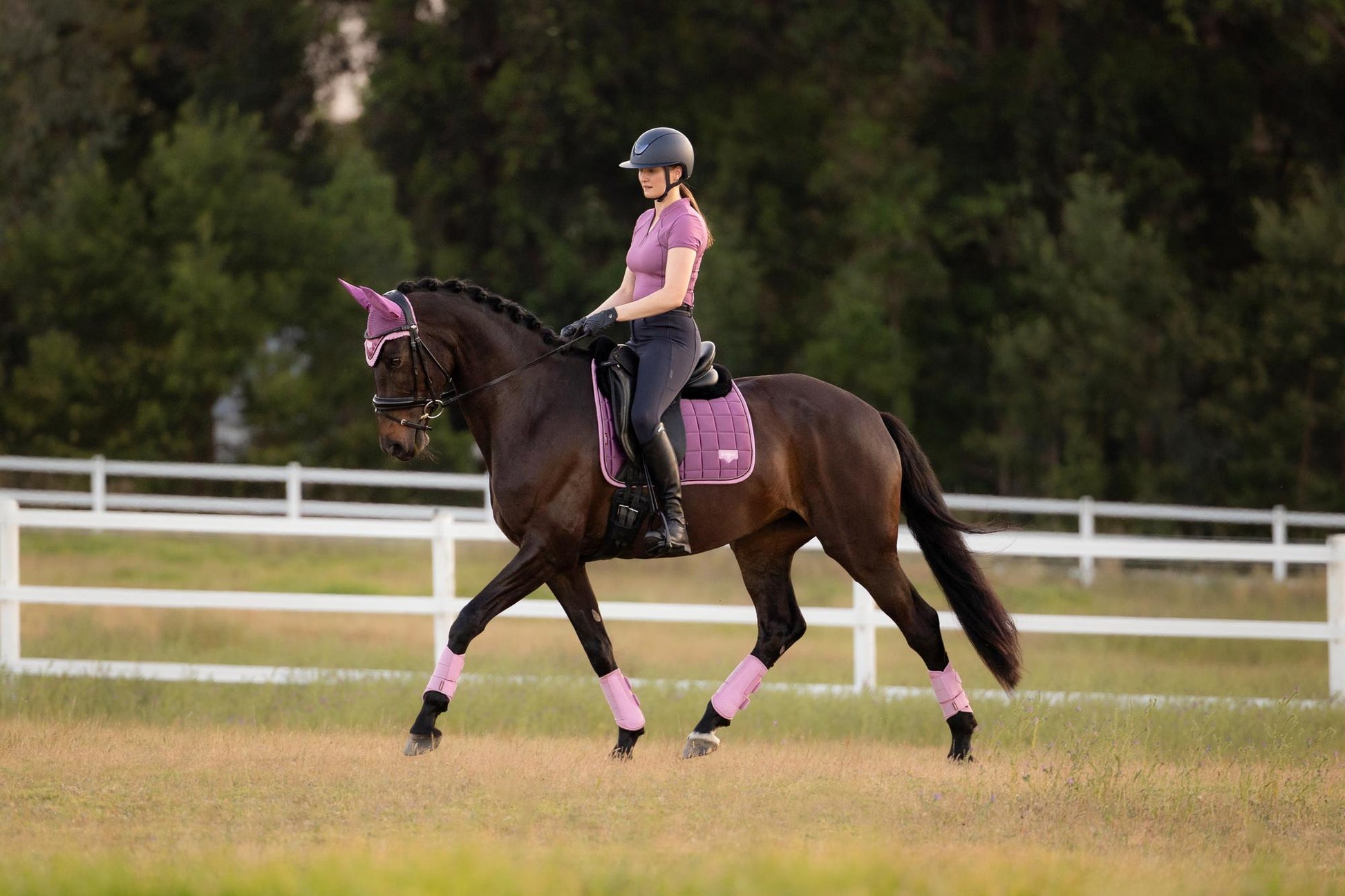 LeMieux Loire Dressage Saddle Pad Mallow-English Saddle Pad-LeMieux-Small/Medium-Evolution Equestrian Co.