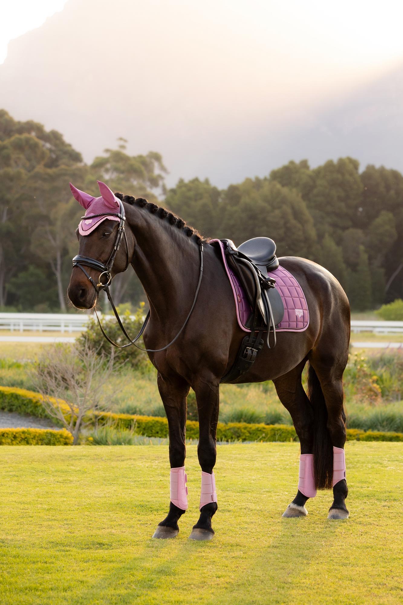 LeMieux Loire Dressage Saddle Pad Mallow-English Saddle Pad-LeMieux-Small/Medium-Evolution Equestrian Co.