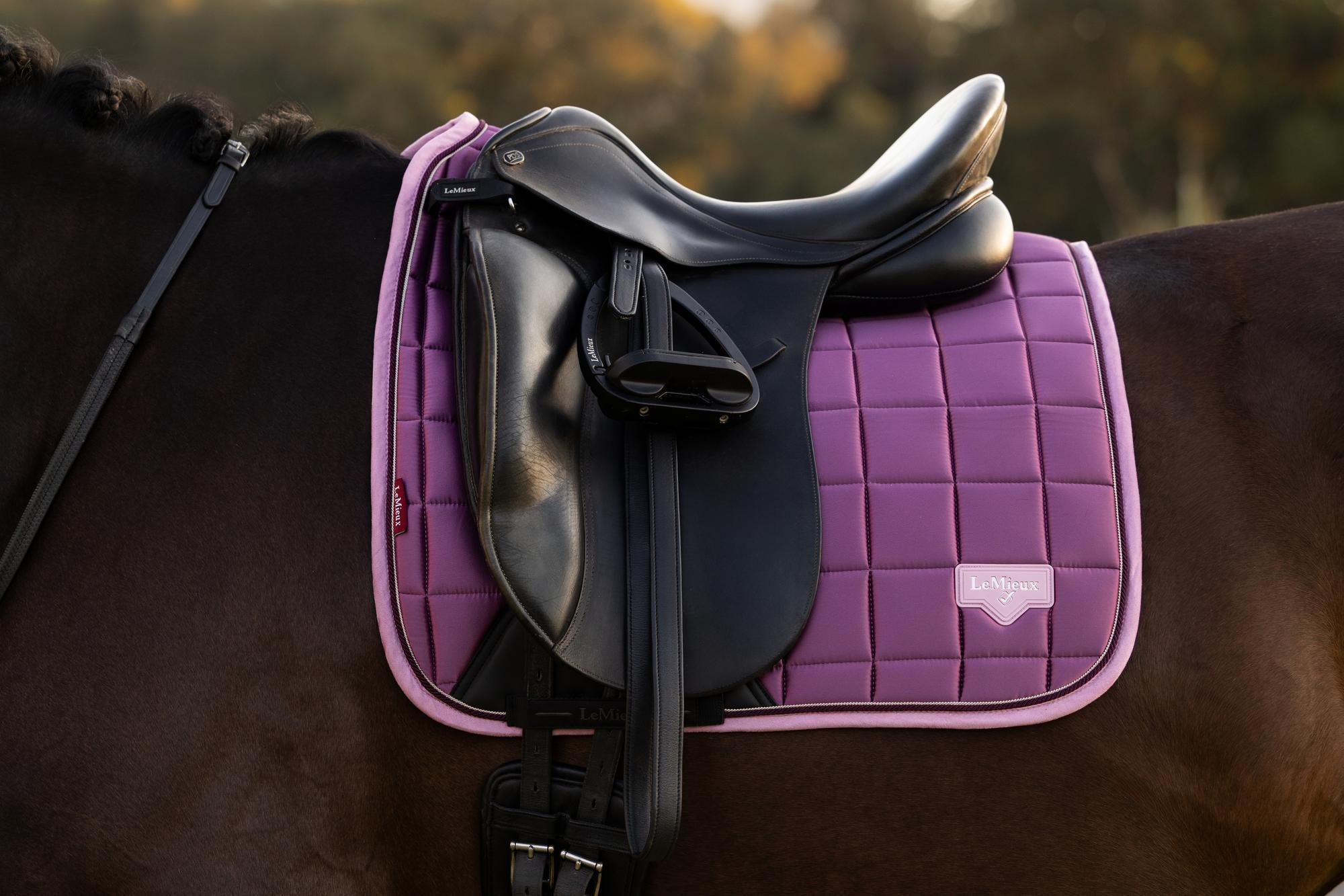 LeMieux Loire Dressage Saddle Pad Mallow-English Saddle Pad-LeMieux-Small/Medium-Evolution Equestrian Co.