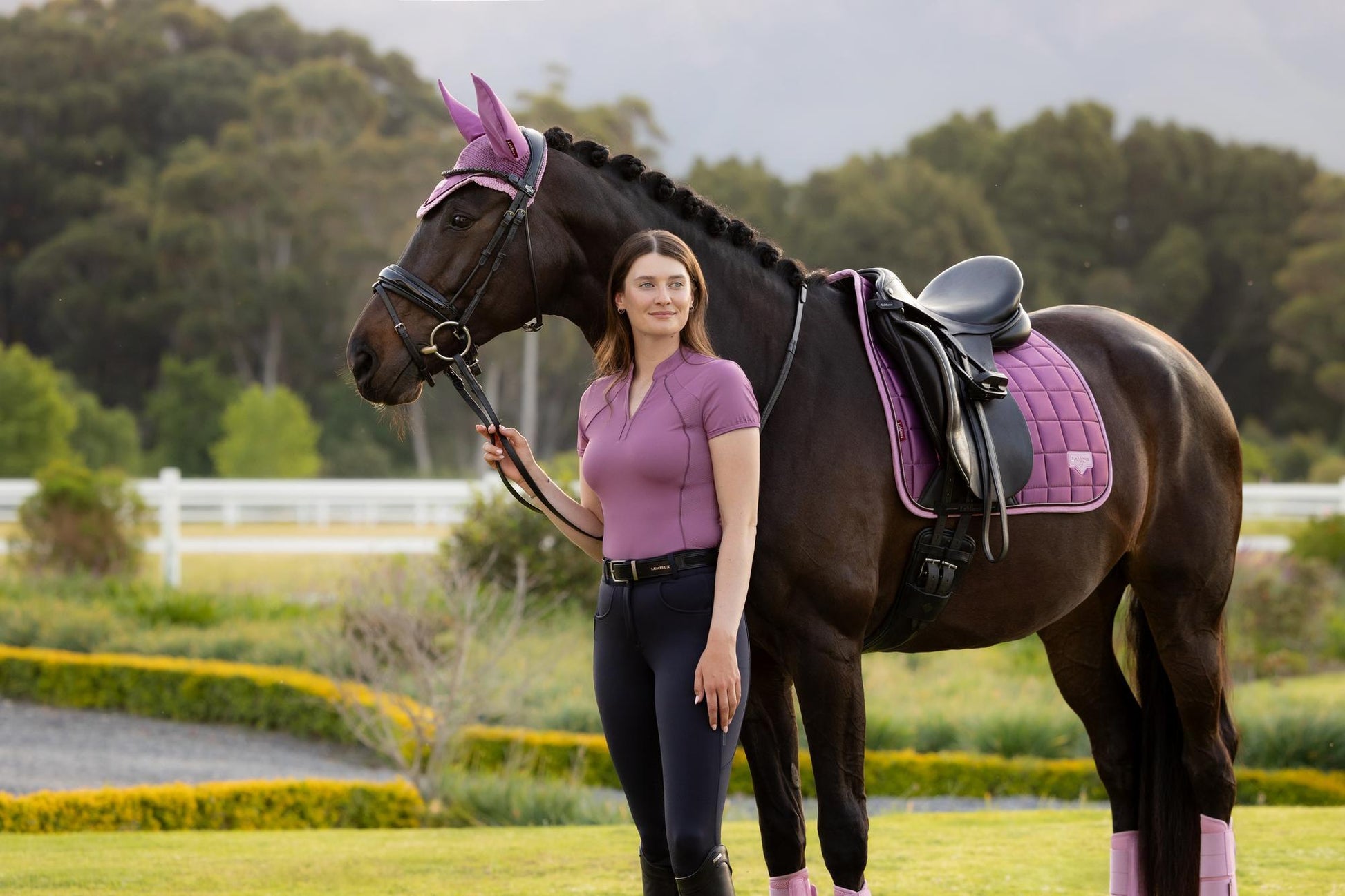 LeMieux Loire Dressage Saddle Pad Mallow-English Saddle Pad-LeMieux-Small/Medium-Evolution Equestrian Co.