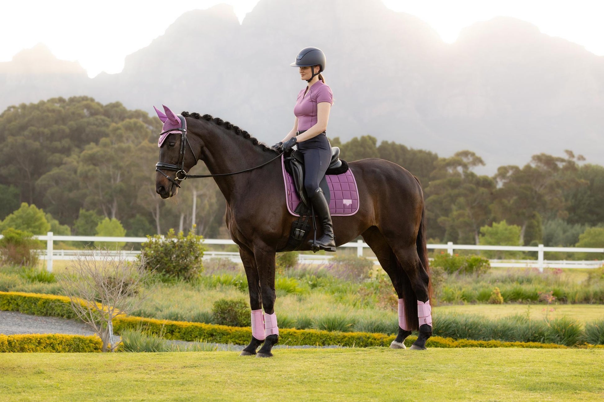 LeMieux Loire Dressage Saddle Pad Mallow-English Saddle Pad-LeMieux-Small/Medium-Evolution Equestrian Co.