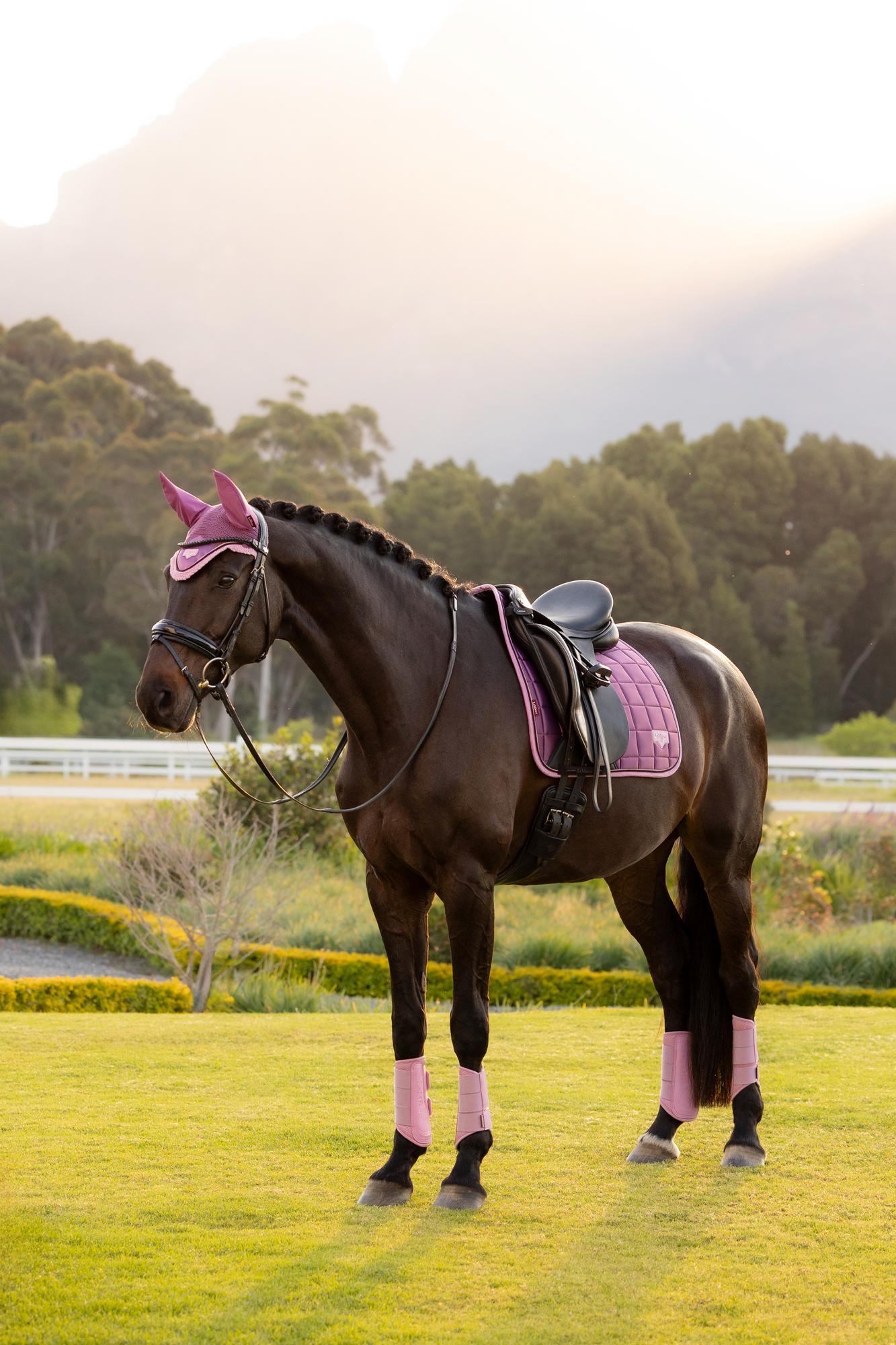 LeMieux Loire Dressage Saddle Pad Mallow-English Saddle Pad-LeMieux-Small/Medium-Evolution Equestrian Co.