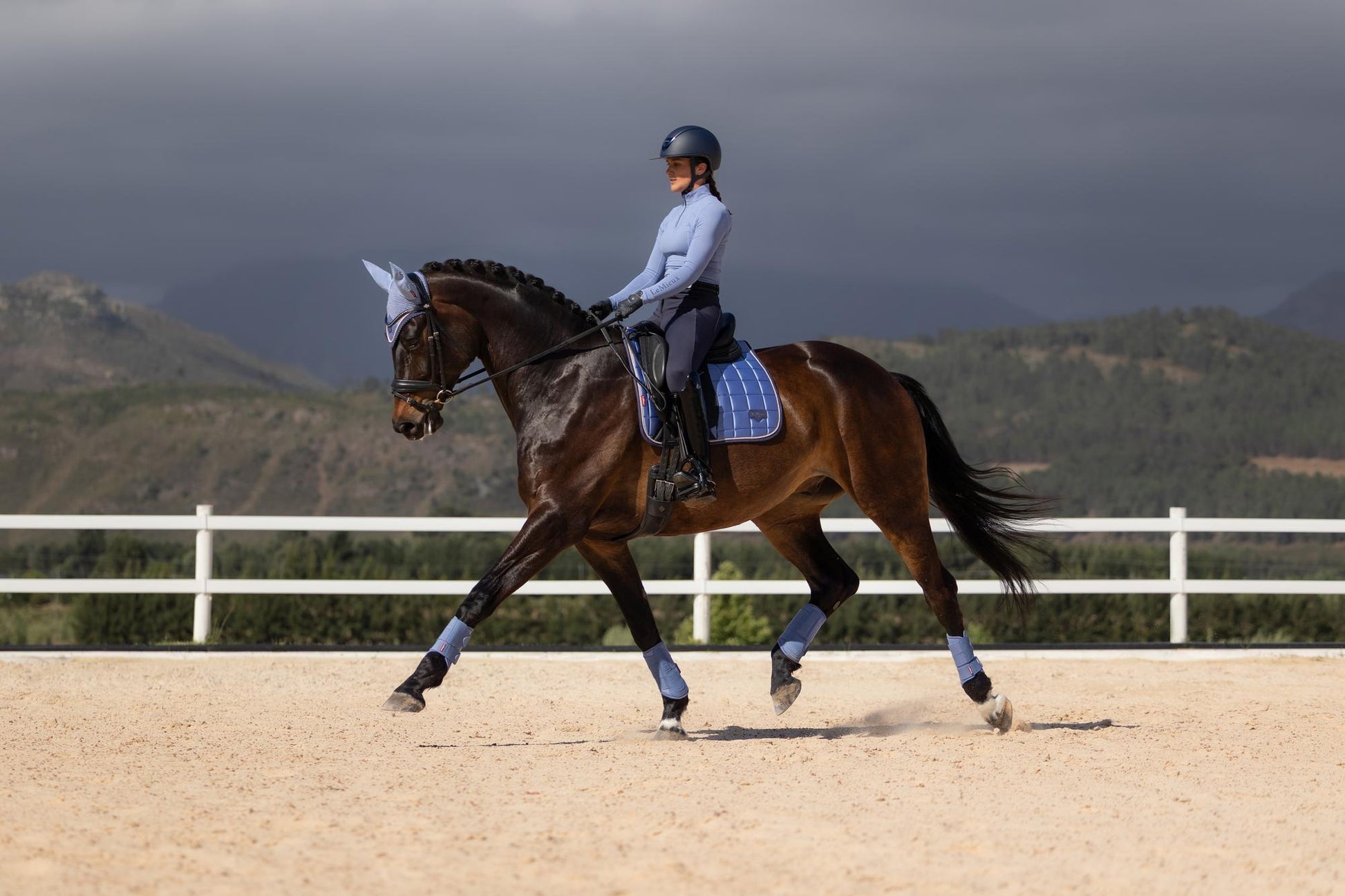 LeMieux Loire Dressage Saddle Pad Powder Blue-English Saddle Pad-LeMieux-Small/Medium-Evolution Equestrian Co.