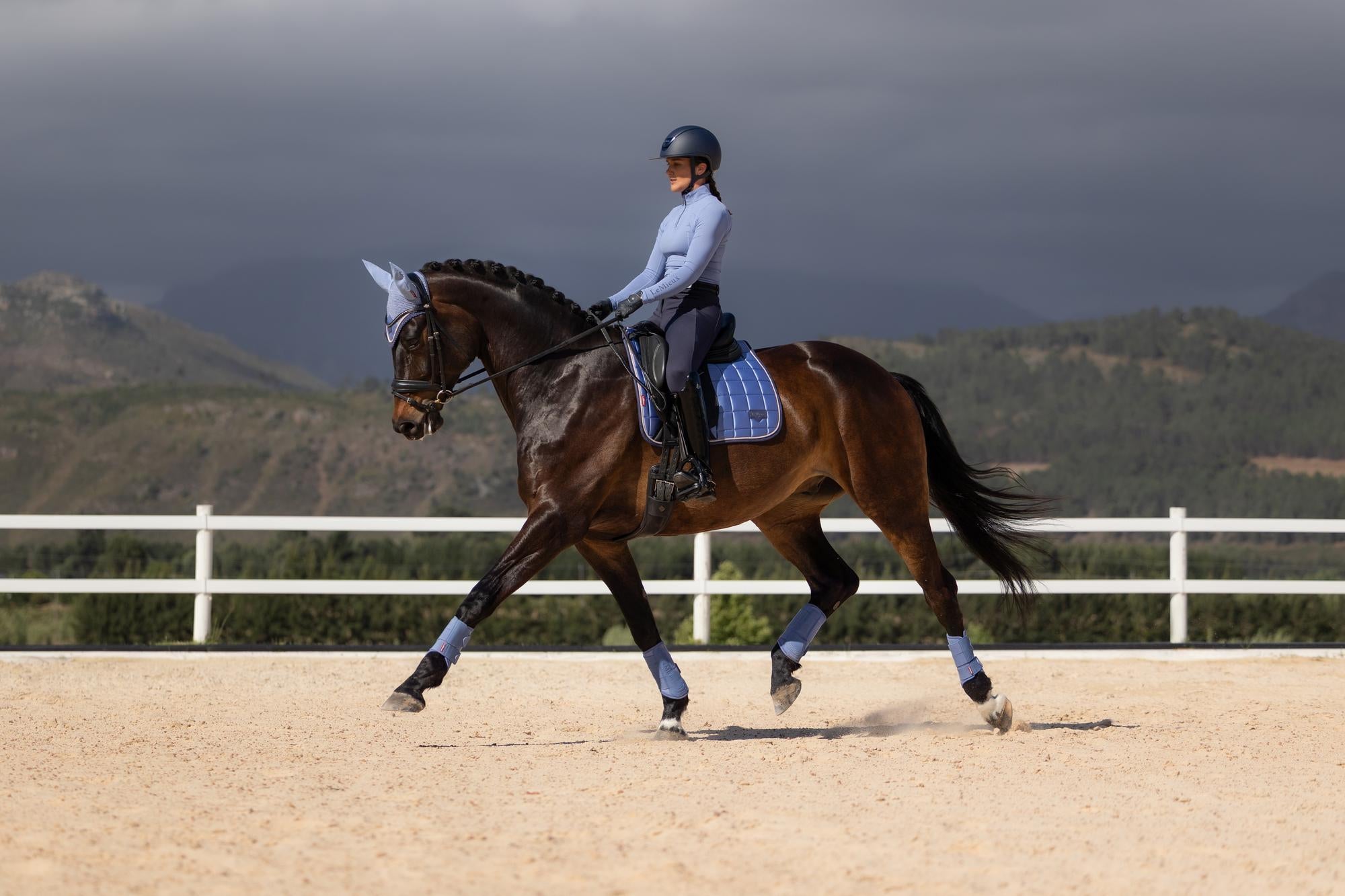 LeMieux Loire Dressage Saddle Pad Powder Blue-English Saddle Pad-LeMieux-Small/Medium-Evolution Equestrian Co.
