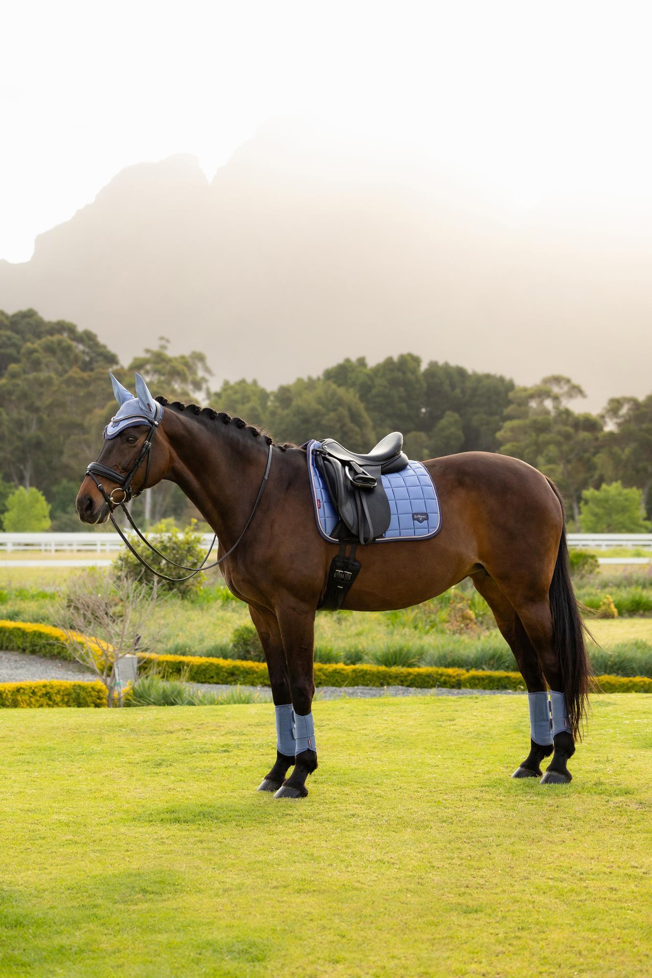 LeMieux Loire Dressage Saddle Pad Powder Blue-English Saddle Pad-LeMieux-Small/Medium-Evolution Equestrian Co.