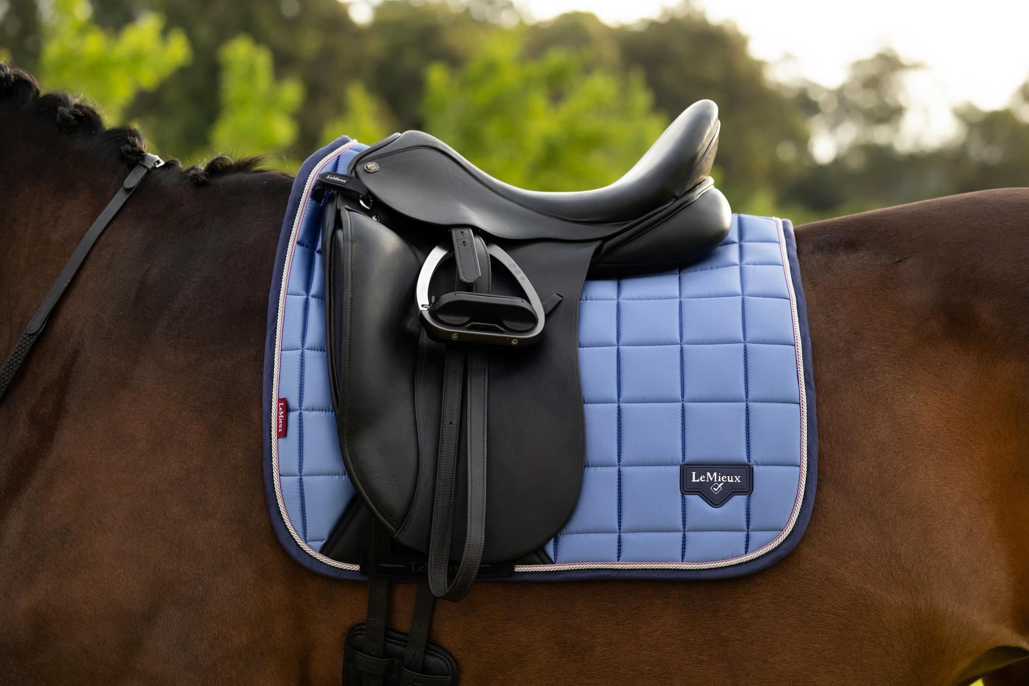 LeMieux Loire Dressage Saddle Pad Powder Blue-English Saddle Pad-LeMieux-Small/Medium-Evolution Equestrian Co.