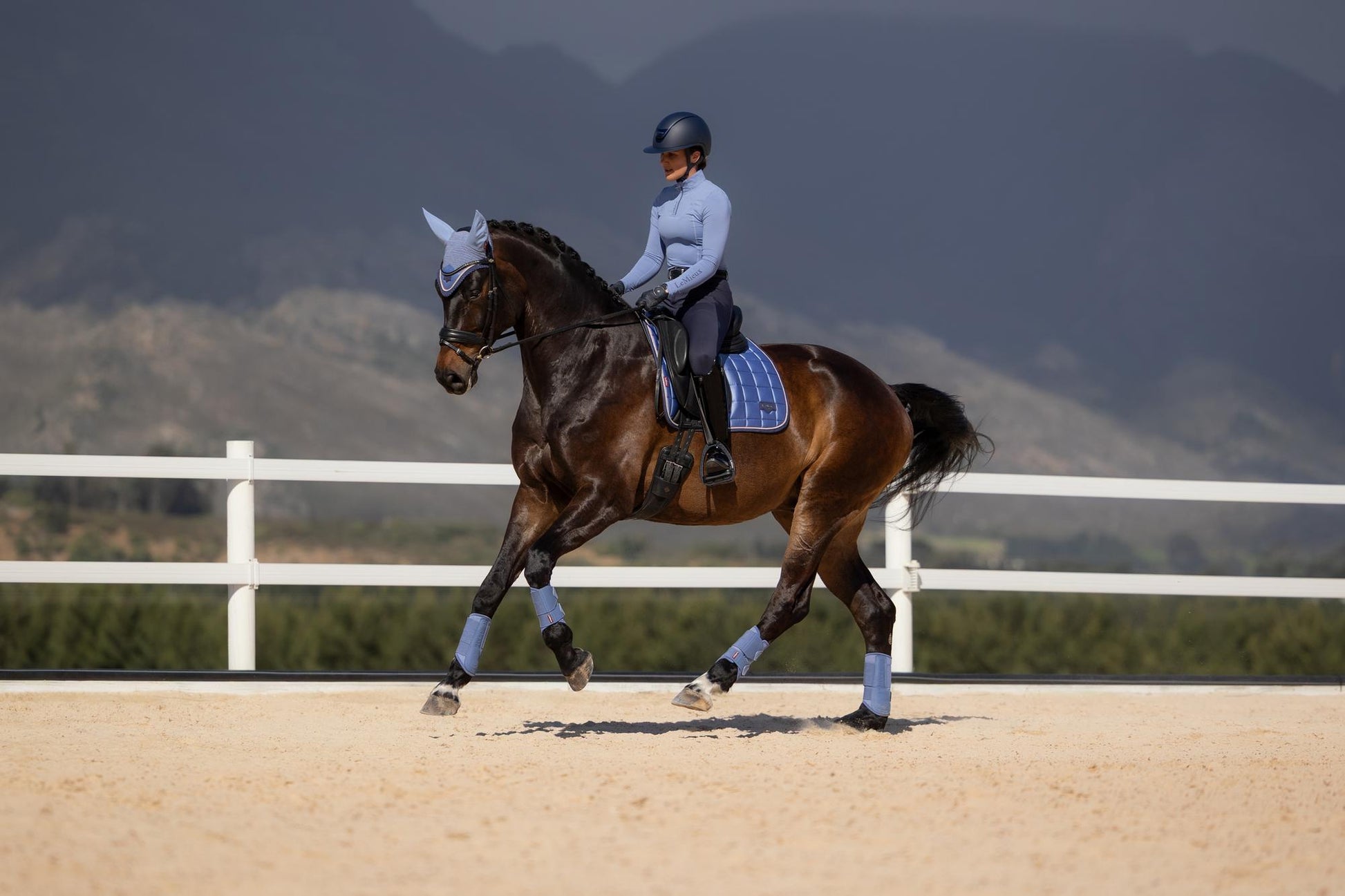 LeMieux Loire Dressage Saddle Pad Powder Blue-English Saddle Pad-LeMieux-Small/Medium-Evolution Equestrian Co.