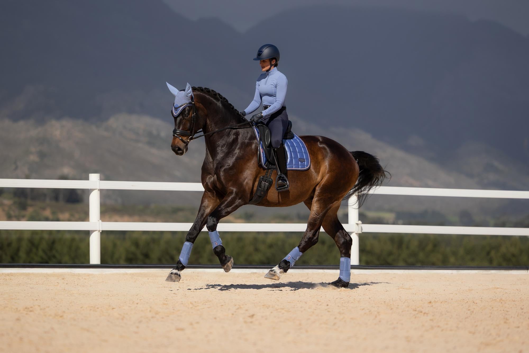 LeMieux Loire Dressage Saddle Pad Powder Blue-English Saddle Pad-LeMieux-Small/Medium-Evolution Equestrian Co.