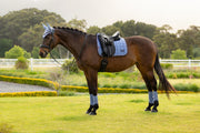 LeMieux Loire Dressage Saddle Pad Powder Blue-English Saddle Pad-LeMieux-Small/Medium-Evolution Equestrian Co.
