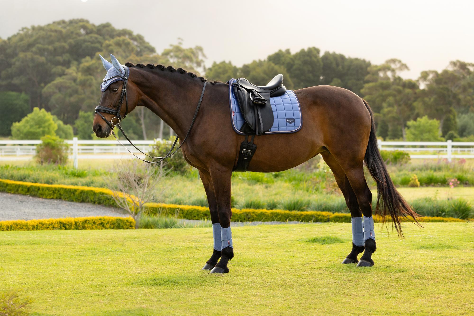 LeMieux Loire Dressage Saddle Pad Powder Blue-English Saddle Pad-LeMieux-Small/Medium-Evolution Equestrian Co.