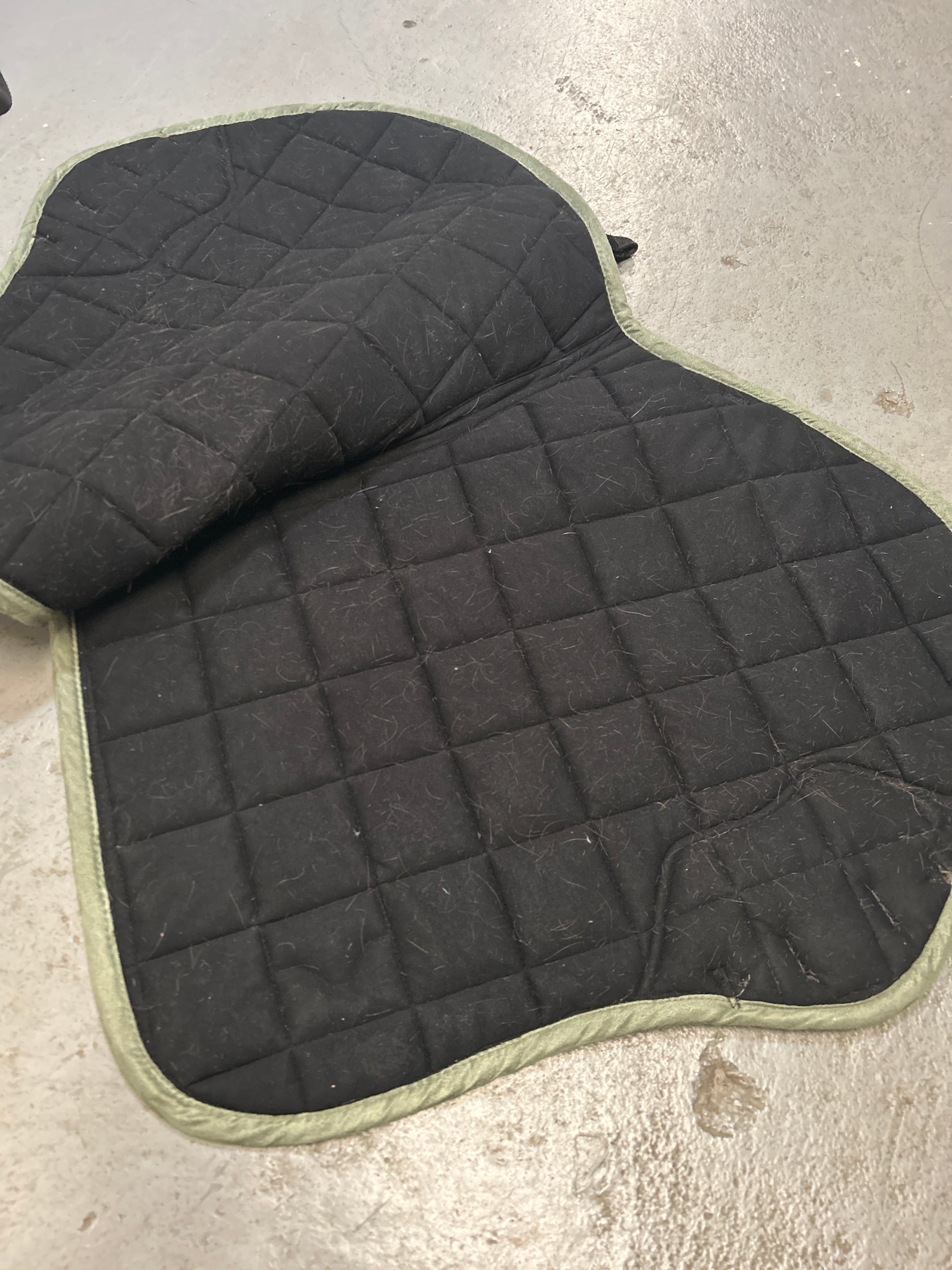 LeMieux Loire Fern Saddle Pad-English Saddle Pad-Consignment-Evolution Equestrian Co.