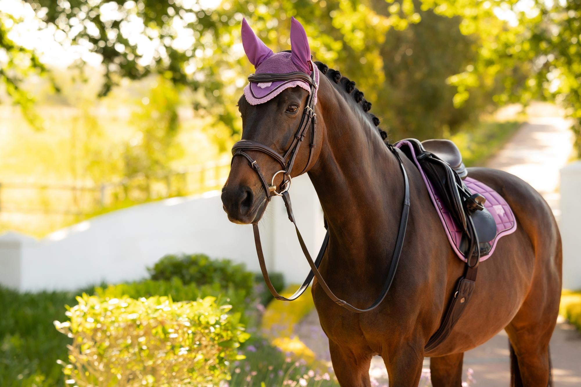 LeMieux Lorie Fly Hood Mallow-English Accessories-LeMieux-Medium-Evolution Equestrian Co.