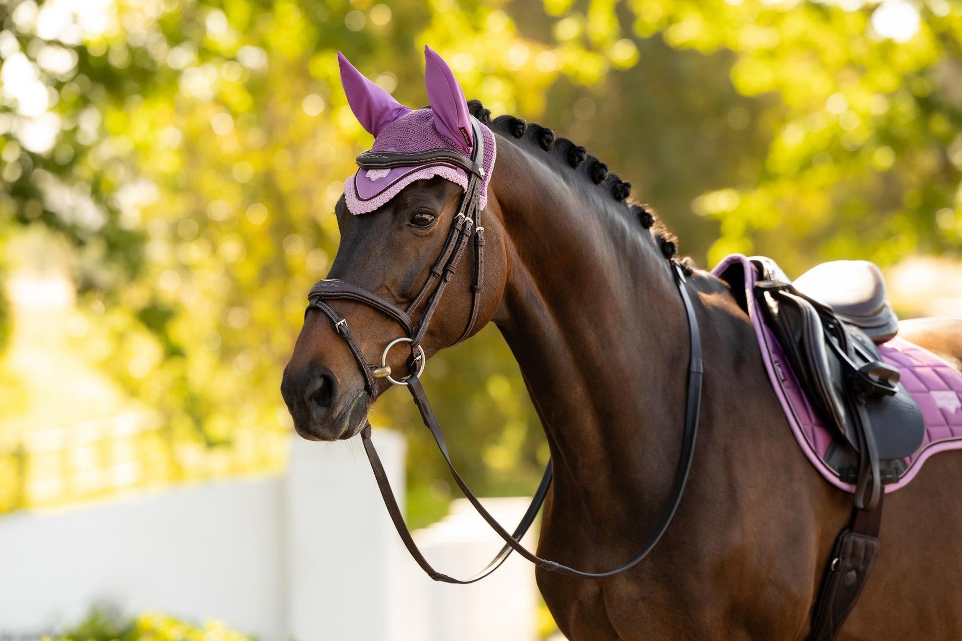 LeMieux Lorie Fly Hood Mallow-English Accessories-LeMieux-Medium-Evolution Equestrian Co.