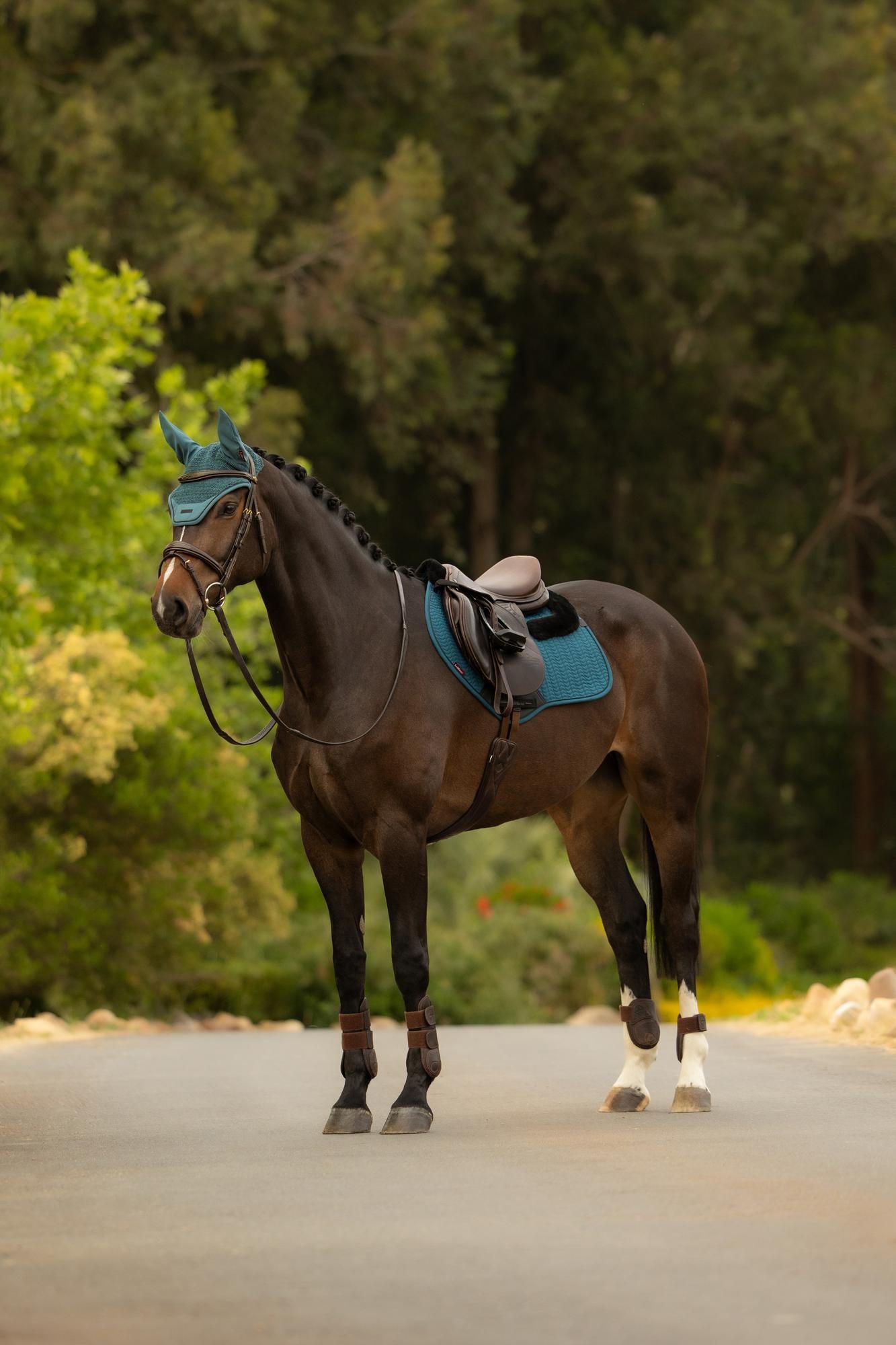 LeMieux Merino+ Essence Close Contact Saddle Pad Jungle-English Saddle Pads-LeMieux-Evolution Equestrian Co.