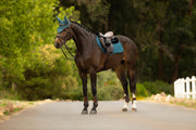 LeMieux Merino+ Essence Close Contact Saddle Pad Jungle-English Saddle Pads-LeMieux-Evolution Equestrian Co.