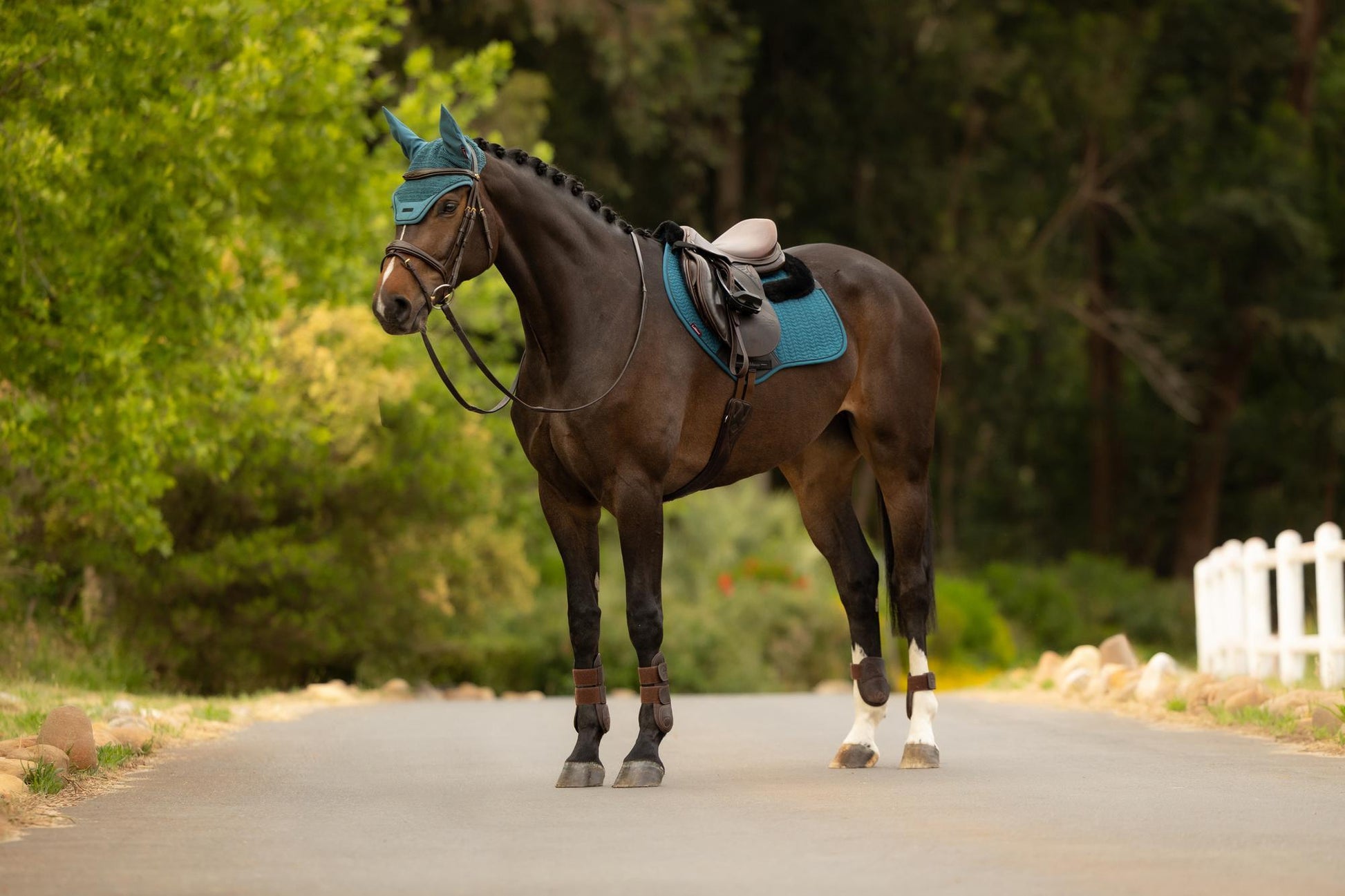 LeMieux Merino+ Essence Close Contact Saddle Pad Jungle-English Saddle Pads-LeMieux-Evolution Equestrian Co.