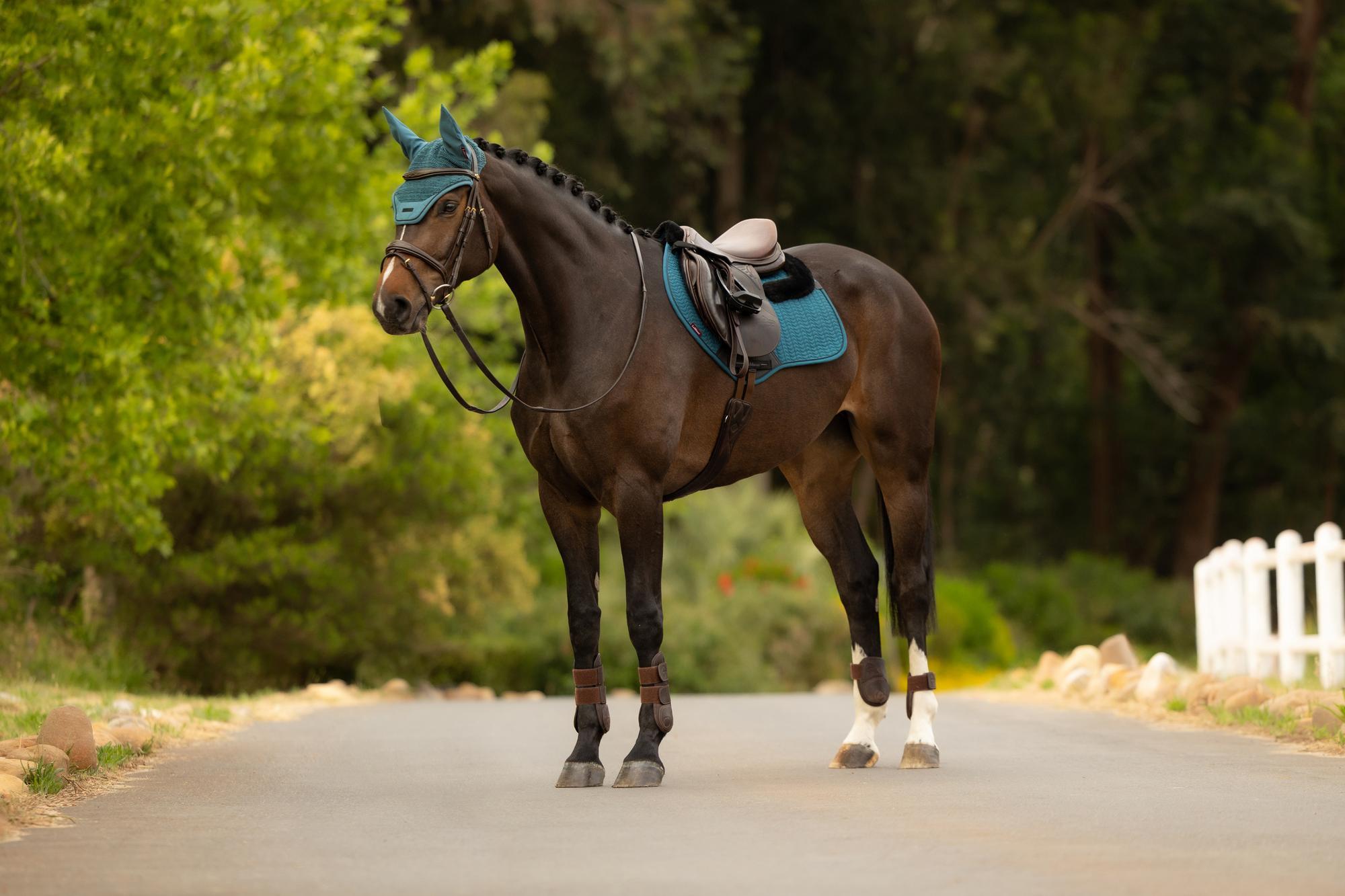 LeMieux Merino+ Essence Close Contact Saddle Pad Jungle-English Saddle Pads-LeMieux-Evolution Equestrian Co.