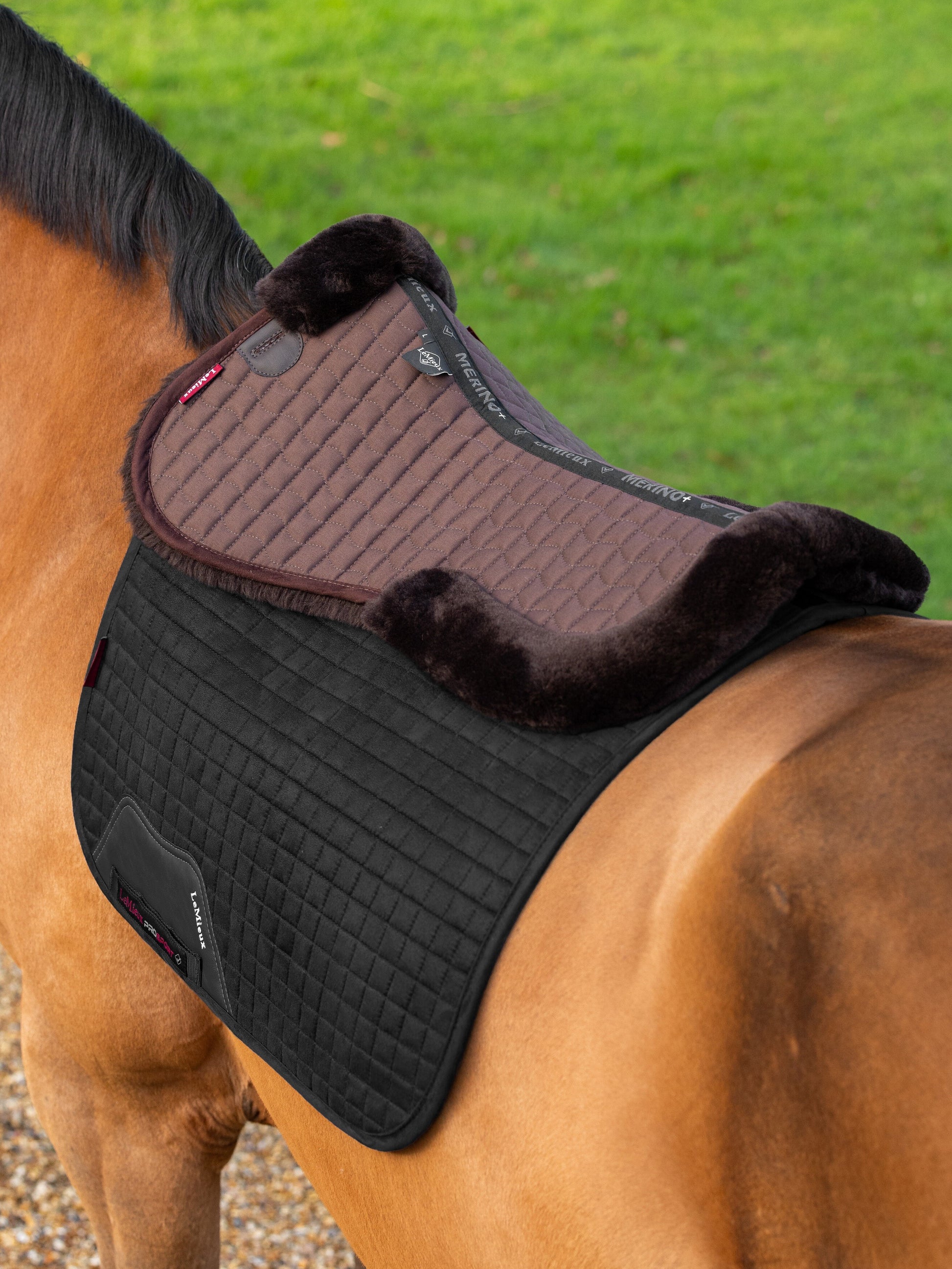 LeMieux Merino+ Half Pad-English Saddle Pad-LeMieux-Black-Small-Evolution Equestrian Co.