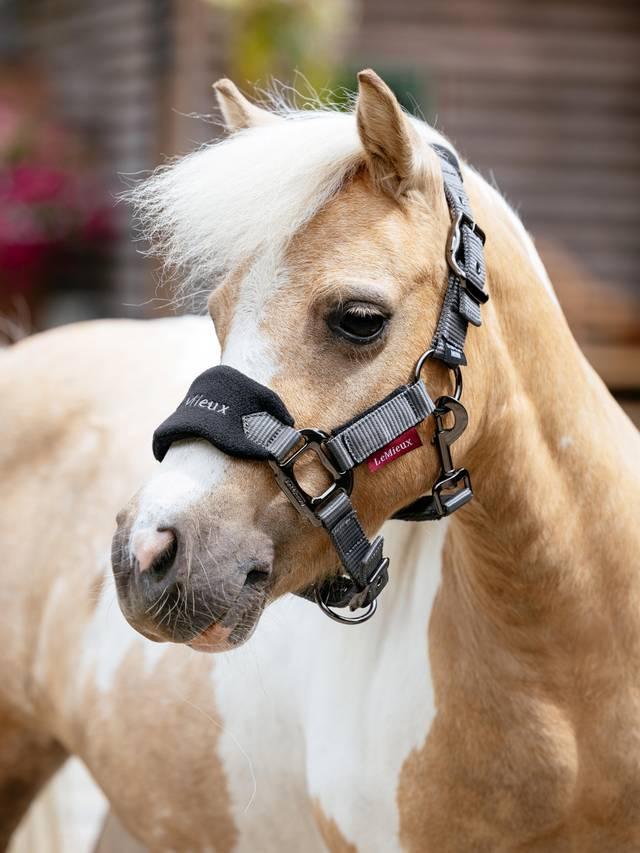 LeMieux Mini Vogue Black Halter and Leadrope-Halter-LeMieux-Super Mini-Evolution Equestrian Co.