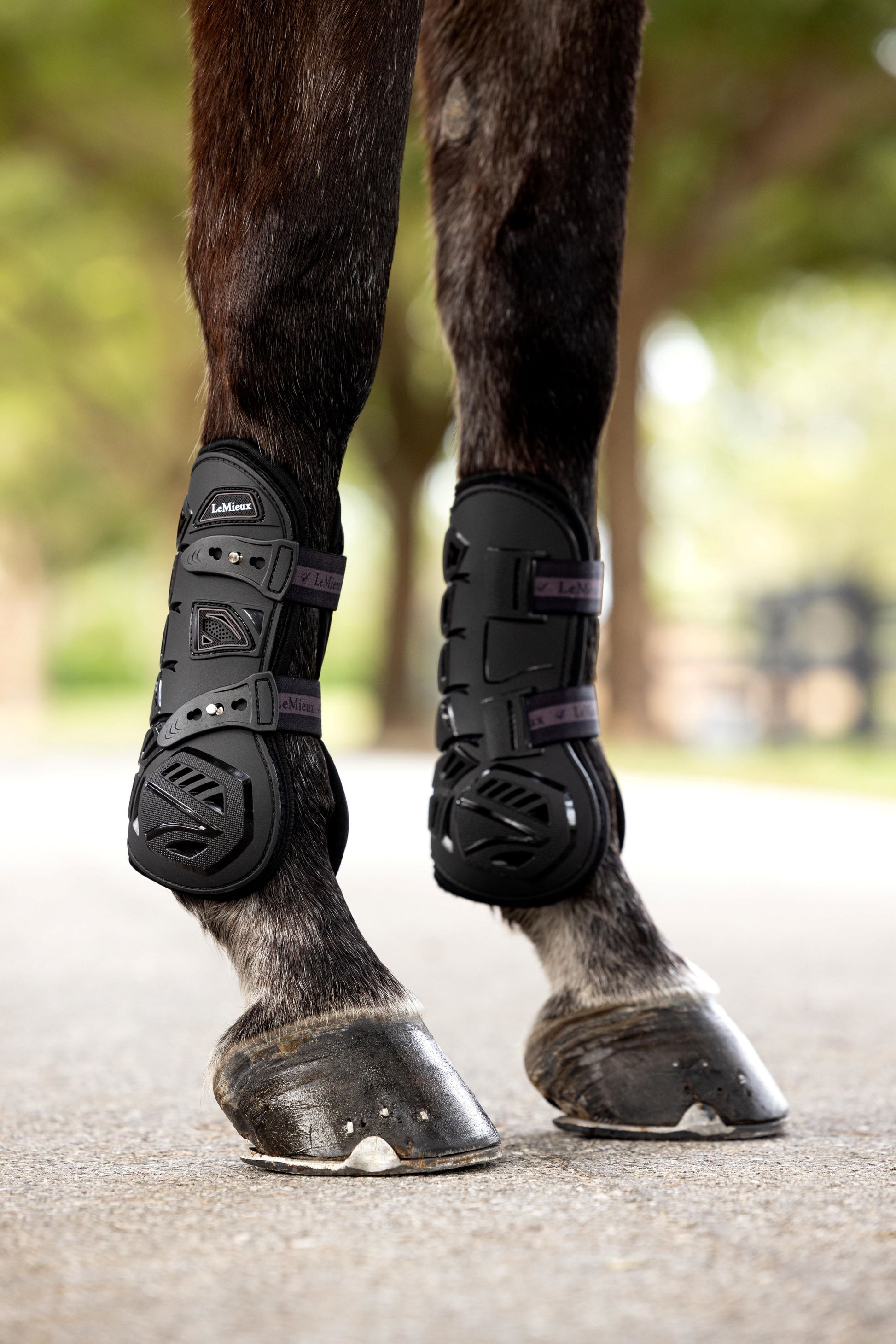 LeMieux Motion Cool Tendon Boots-Horse Boots-LeMieux-Medium-Evolution Equestrian Co.