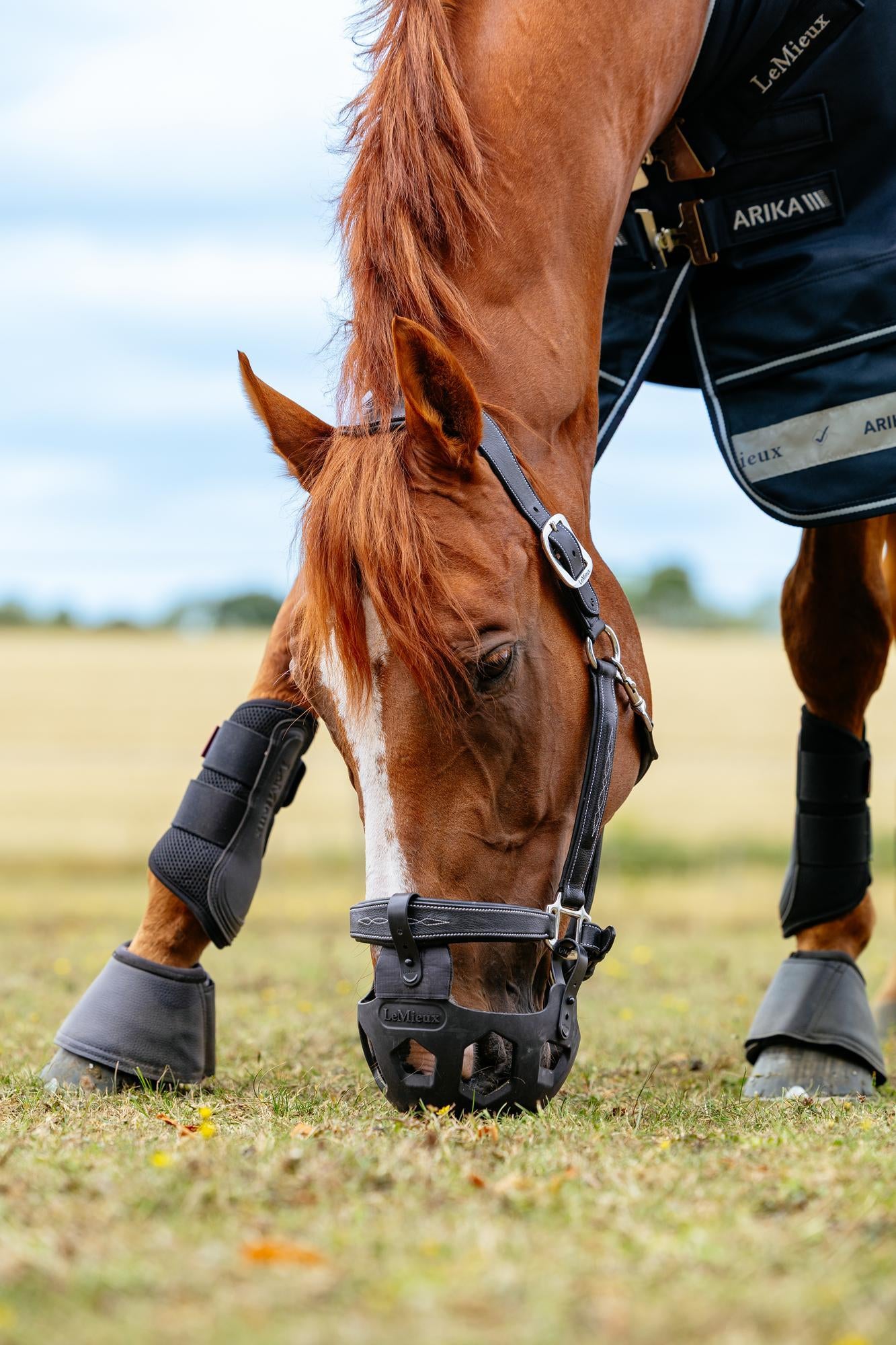 LeMieux Noma Grazing Muzzle-Stable Supplies-LeMieux-Mallow-Pony-Evolution Equestrian Co.