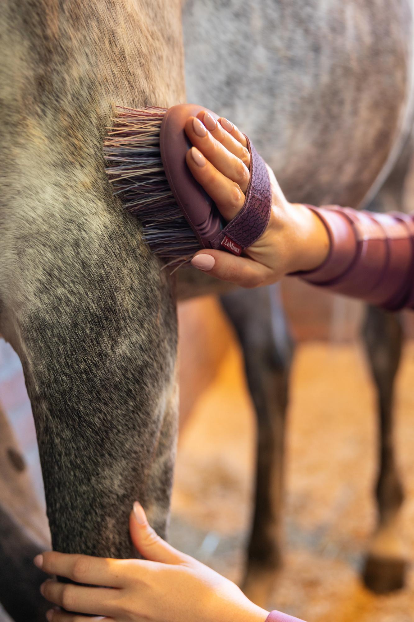 LeMieux Powder Blue Flexi Flicky Brush-Horse Brush-LeMieux-Evolution Equestrian Co.