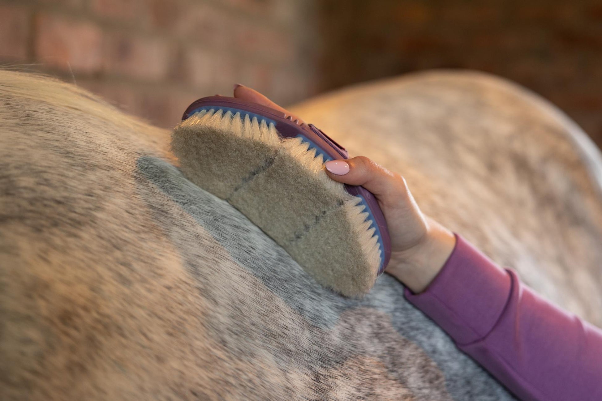 LeMieux Powder Blue Flexi Goat Hair Brush-Horse Brush-LeMieux-Evolution Equestrian Co.
