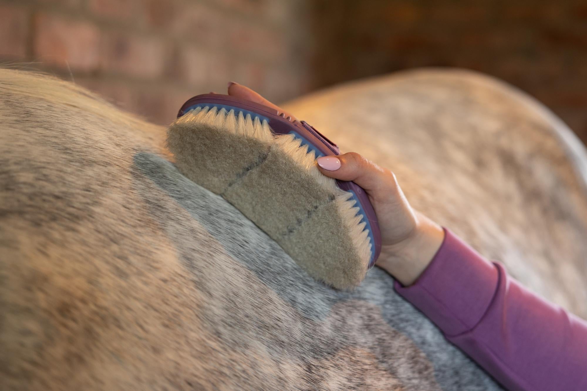 LeMieux Powder Blue Flexi Goat Hair Brush-Horse Brush-LeMieux-Evolution Equestrian Co.
