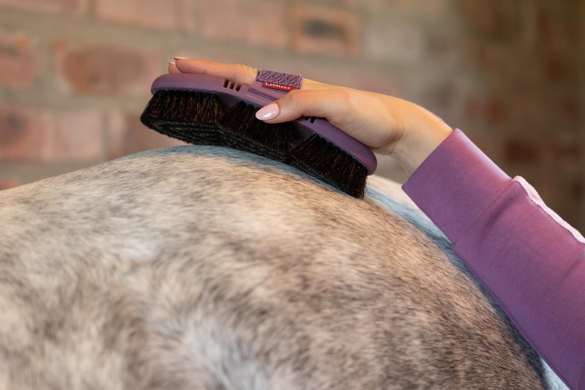 LeMieux Powder Blue Flexi Horse Hair Brush-Horse Brush-LeMieux-Evolution Equestrian Co.