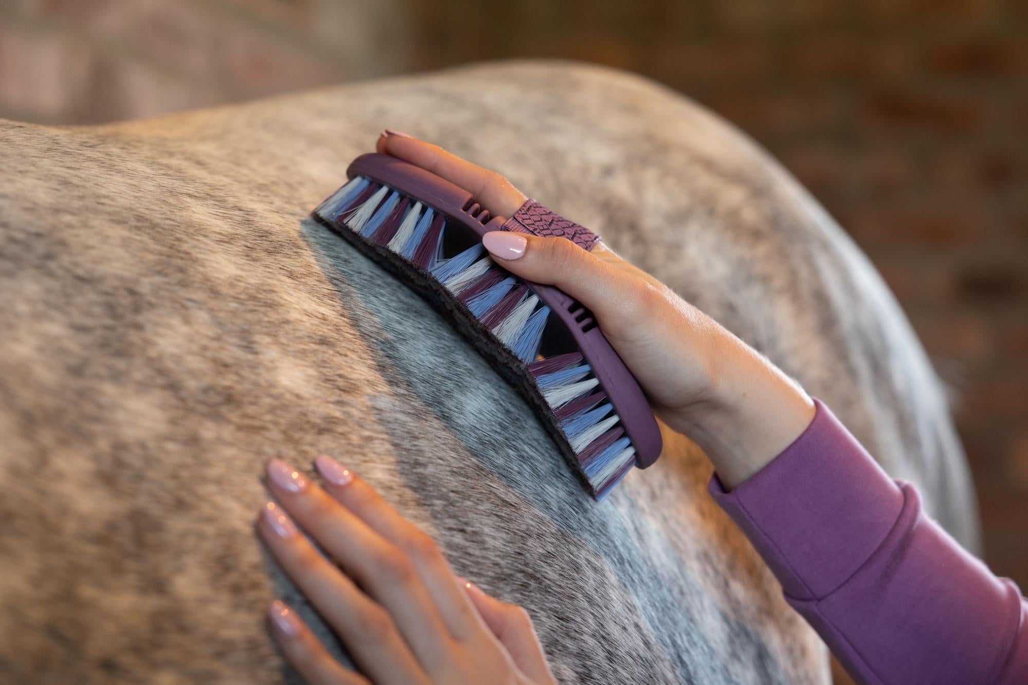 LeMieux Powder Blue Flexi Soft Body Brush-Horse Brush-LeMieux-Evolution Equestrian Co.
